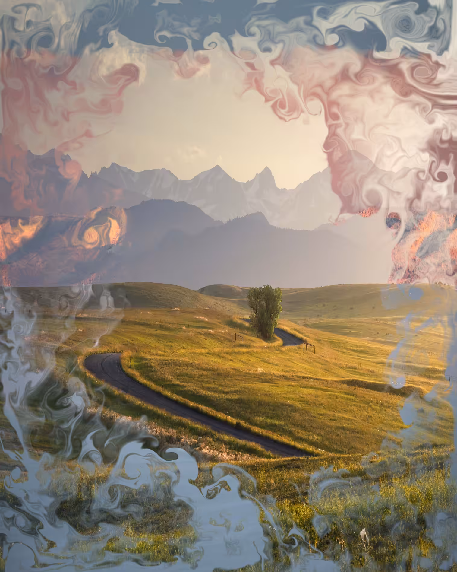 Solstice | Homebound