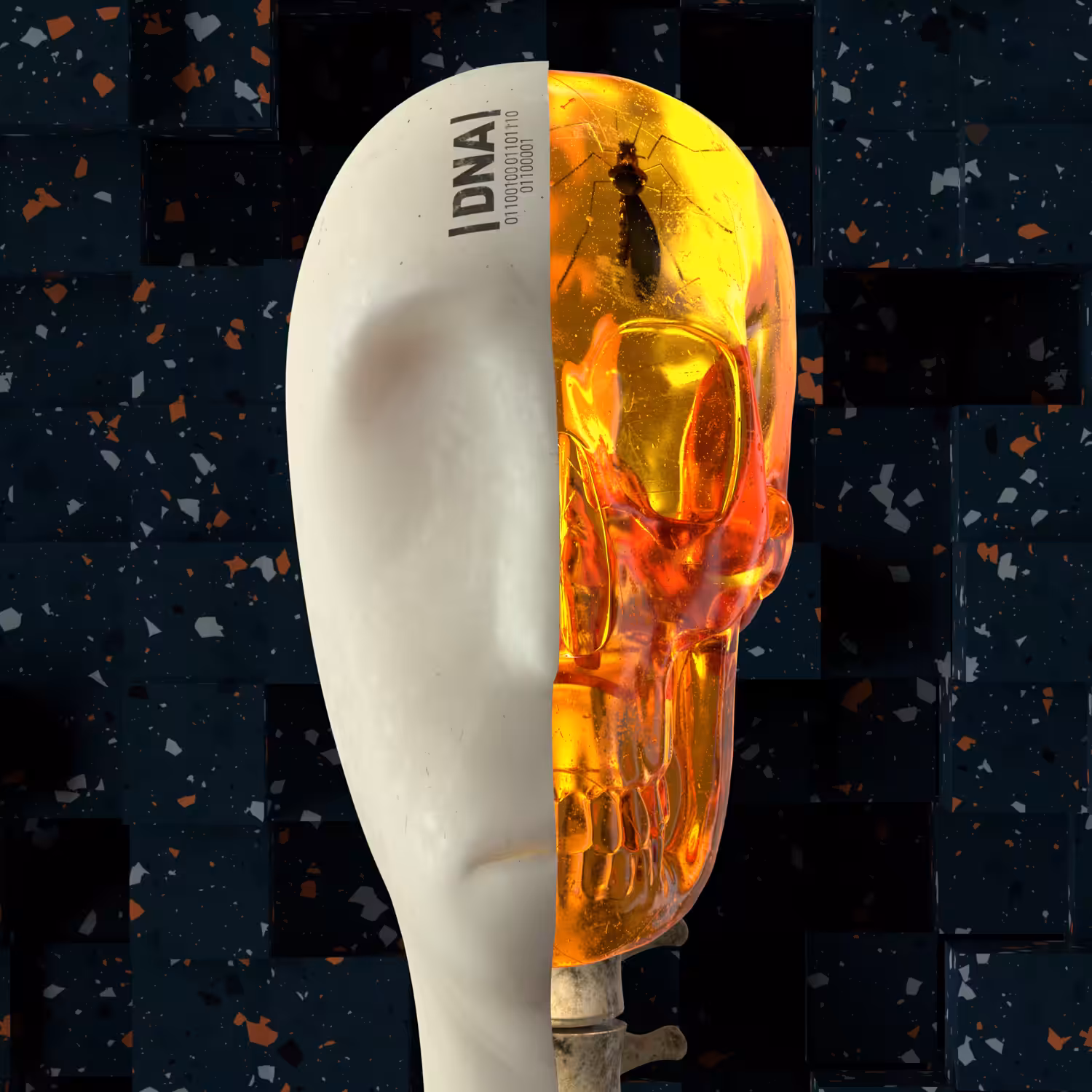 DNA