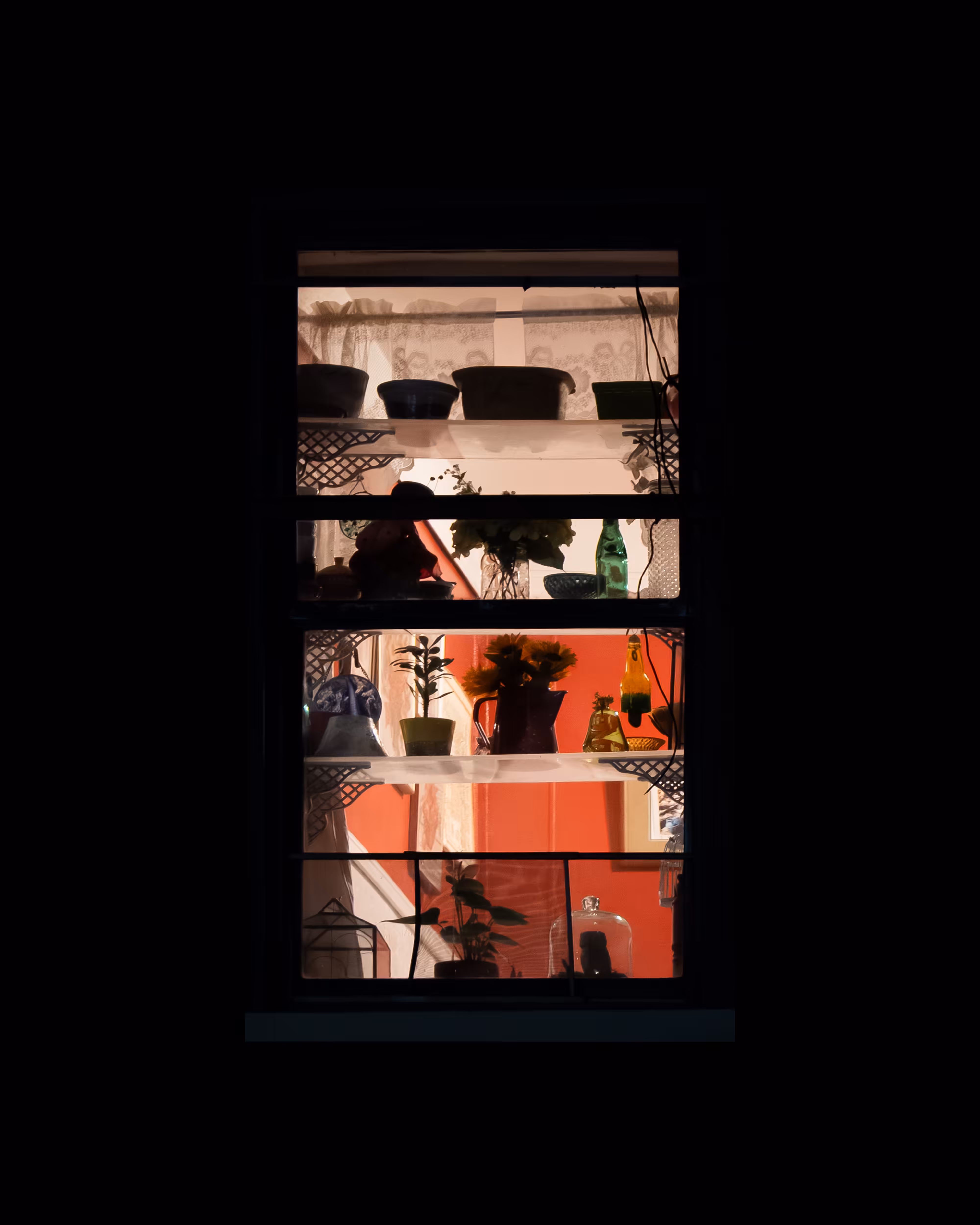 WINDOWS // NYC: WINDOW 204
