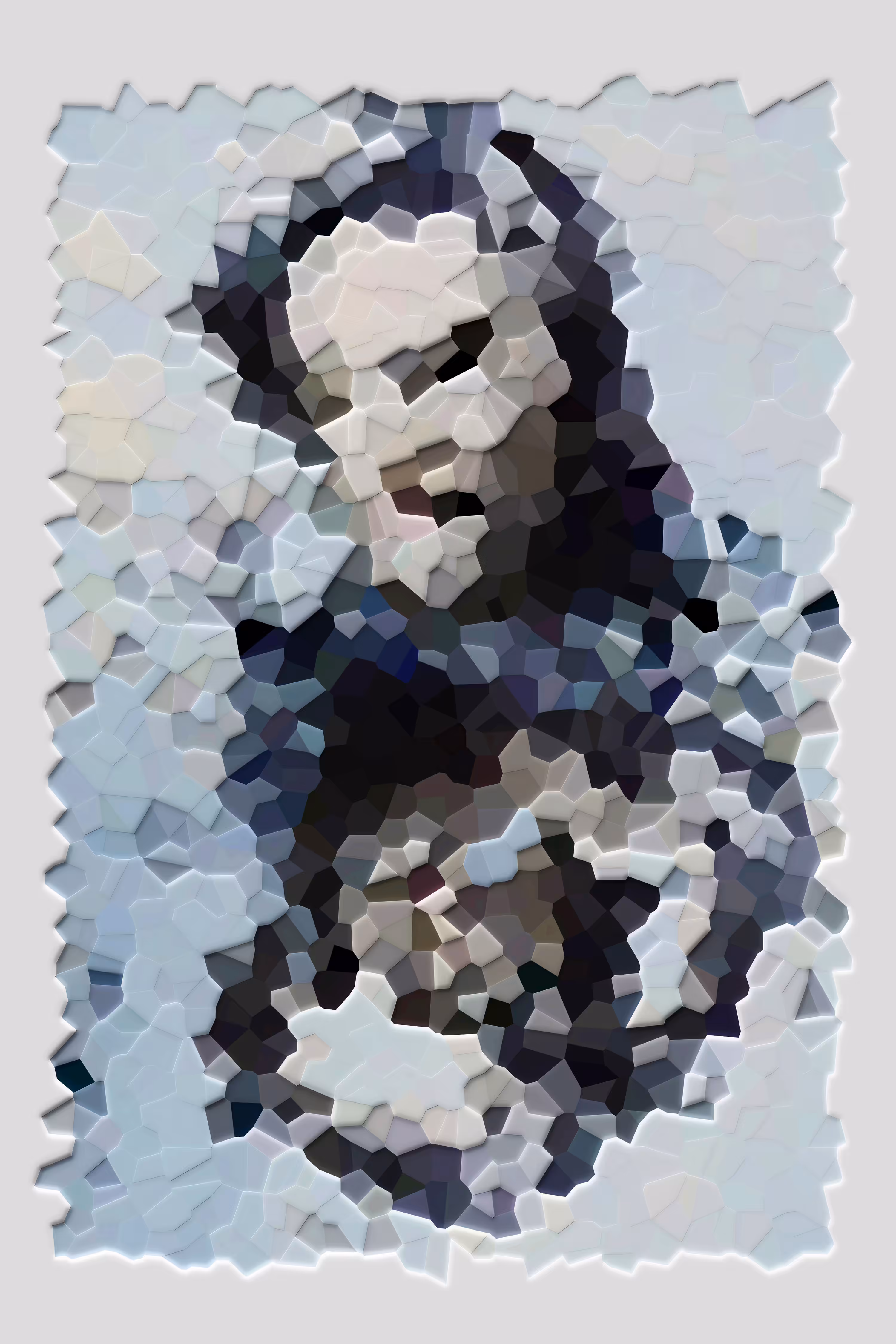 The Imaginary Portrait #3