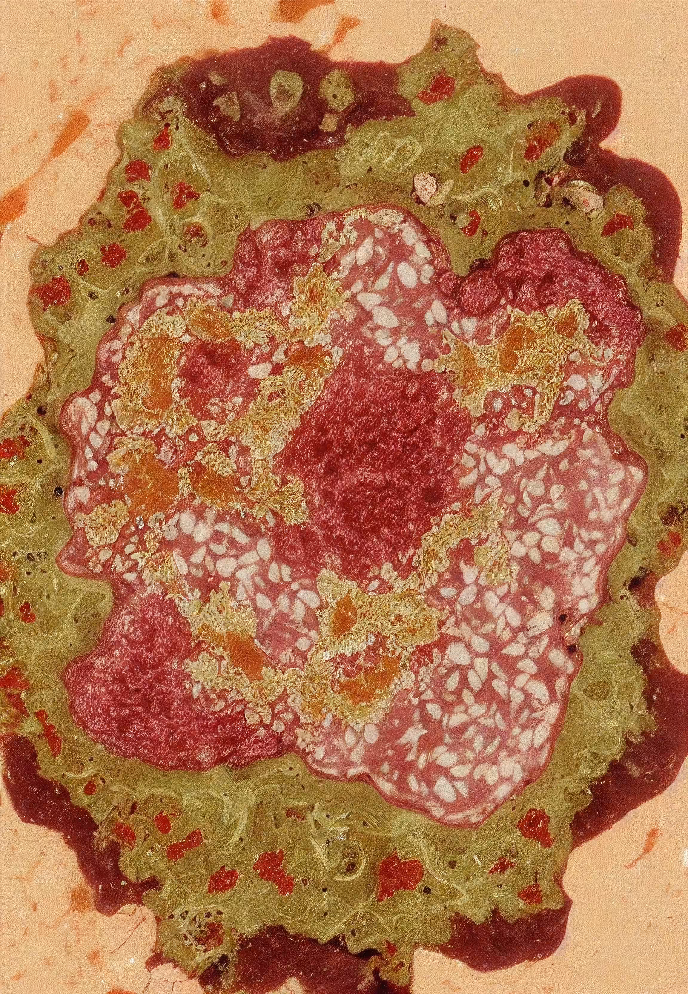 Histologia In Silico #242