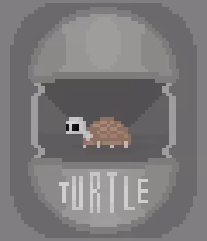 TURTLE 'SKELETON'