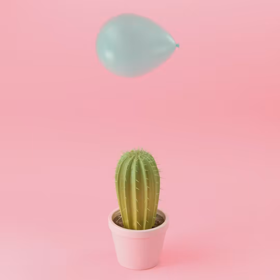 The Preposterous Cactus