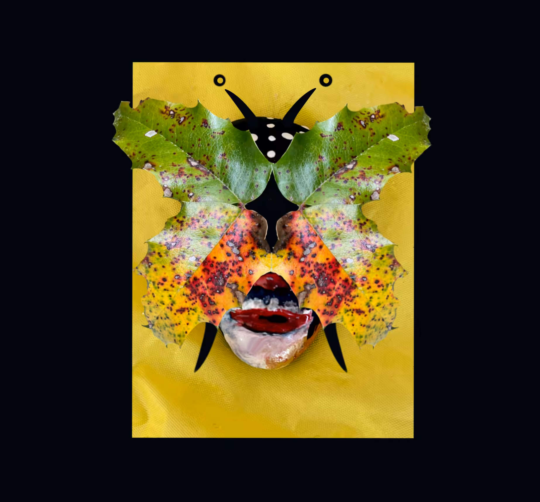 Gigi Butterfly #04