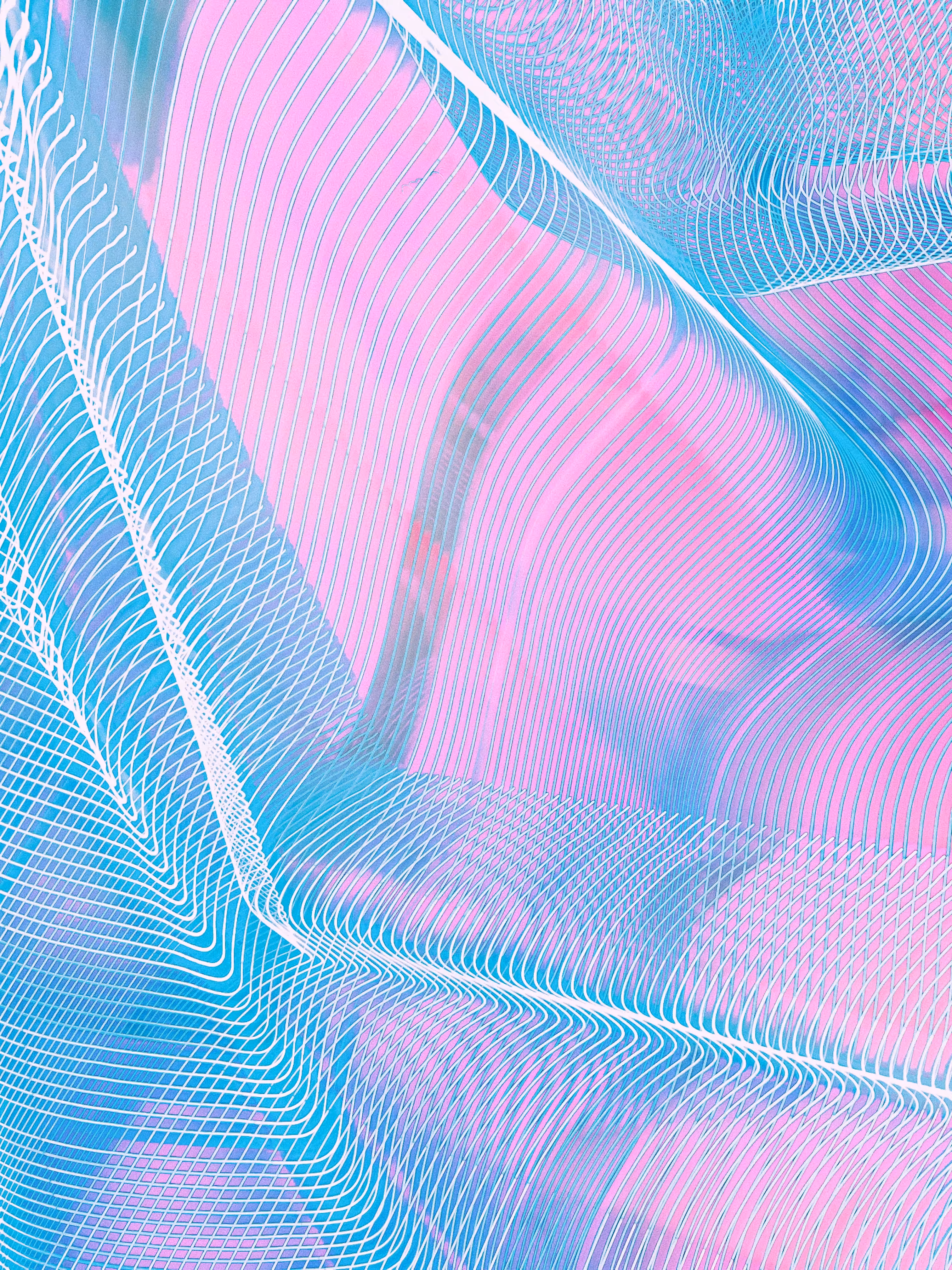 lightWhispers #19