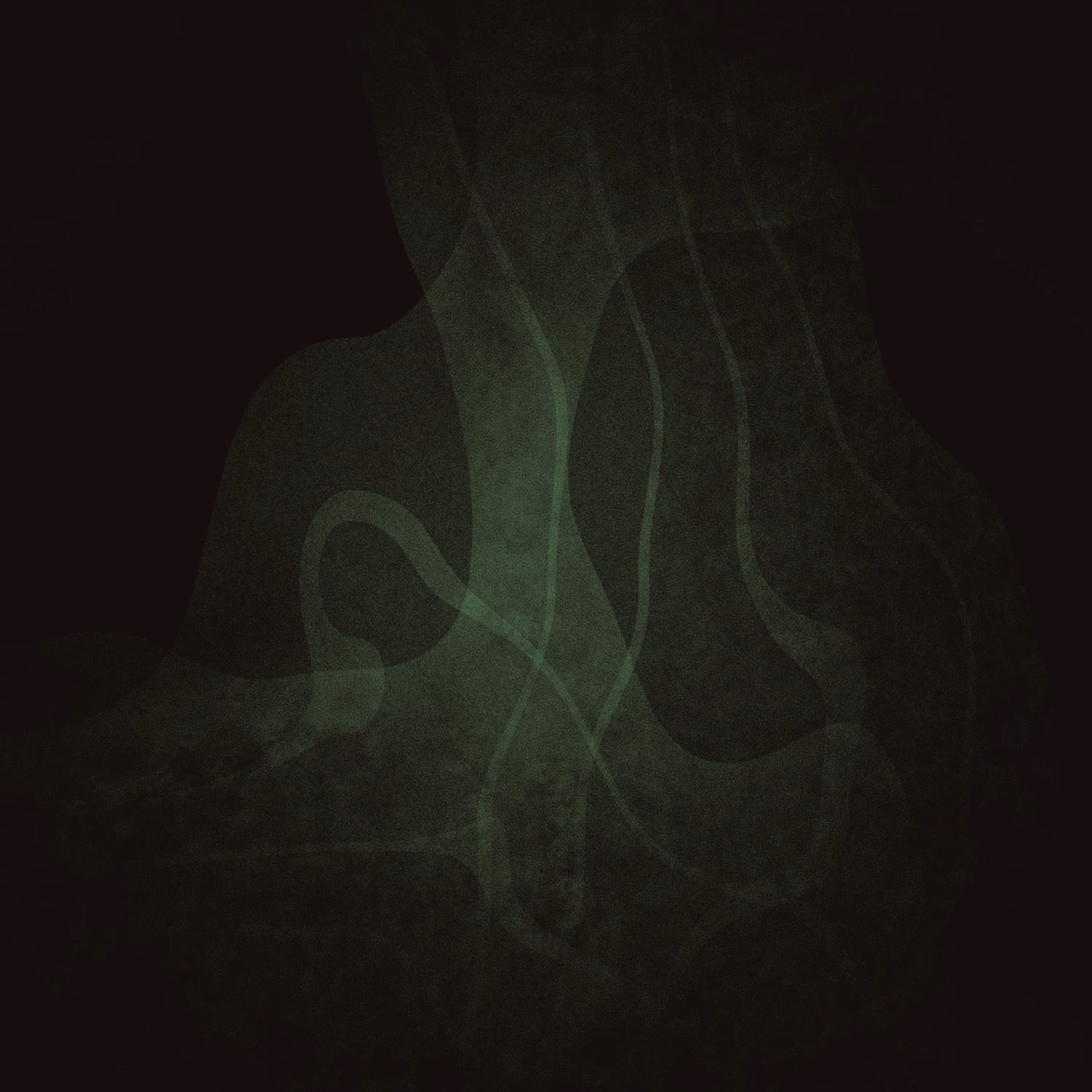 Beyond Dichotomy  #69