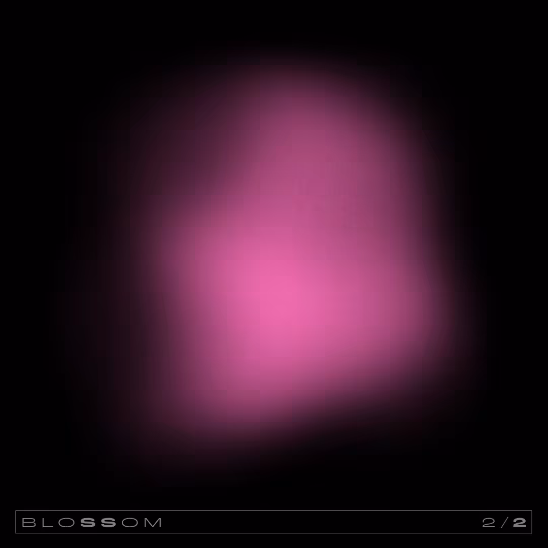 Blossom 2 (Cherry)