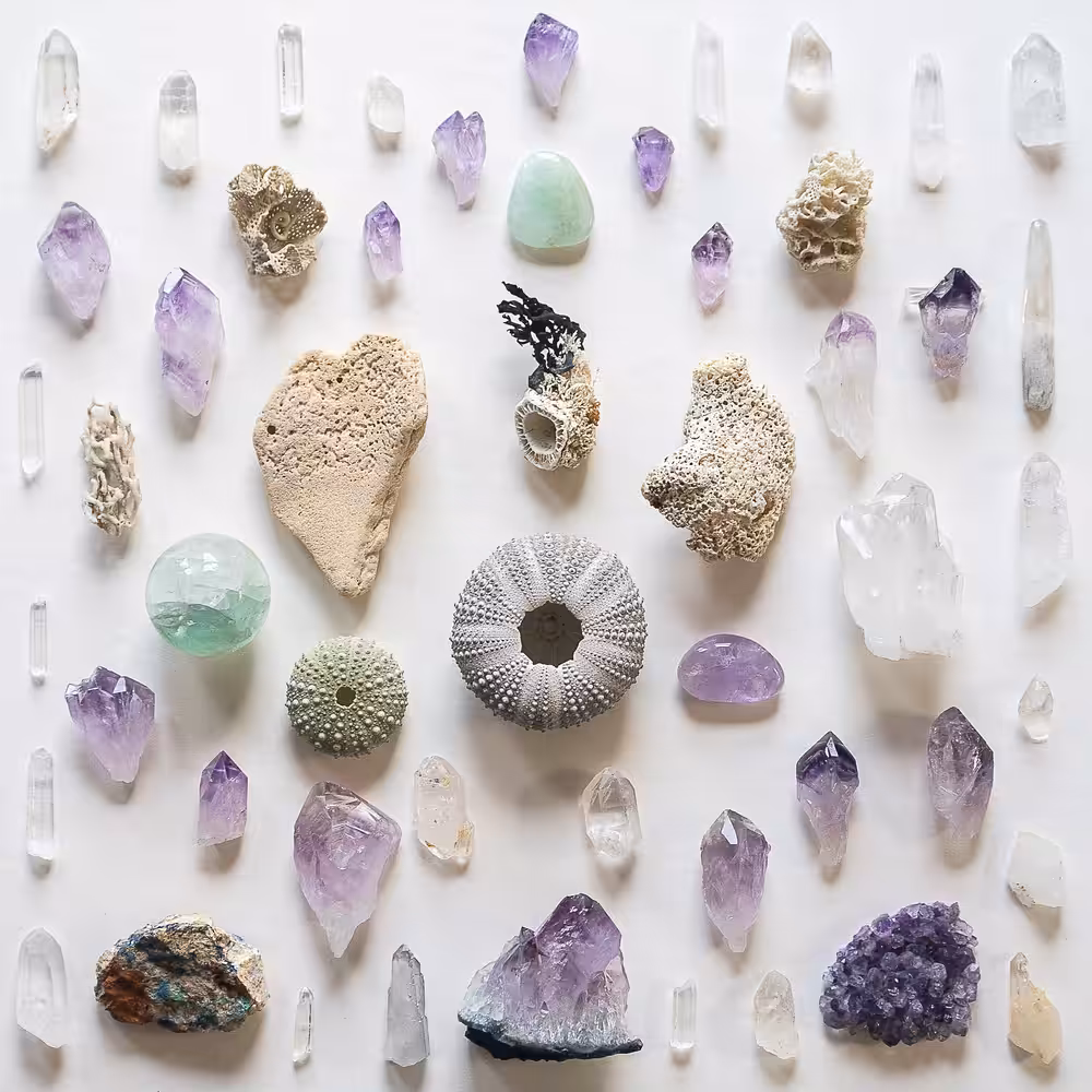 Gifts from the Sea.