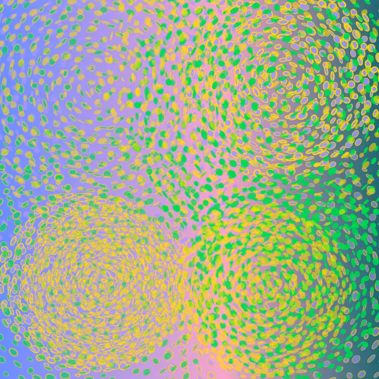 PhyllotacticGalaxies #21