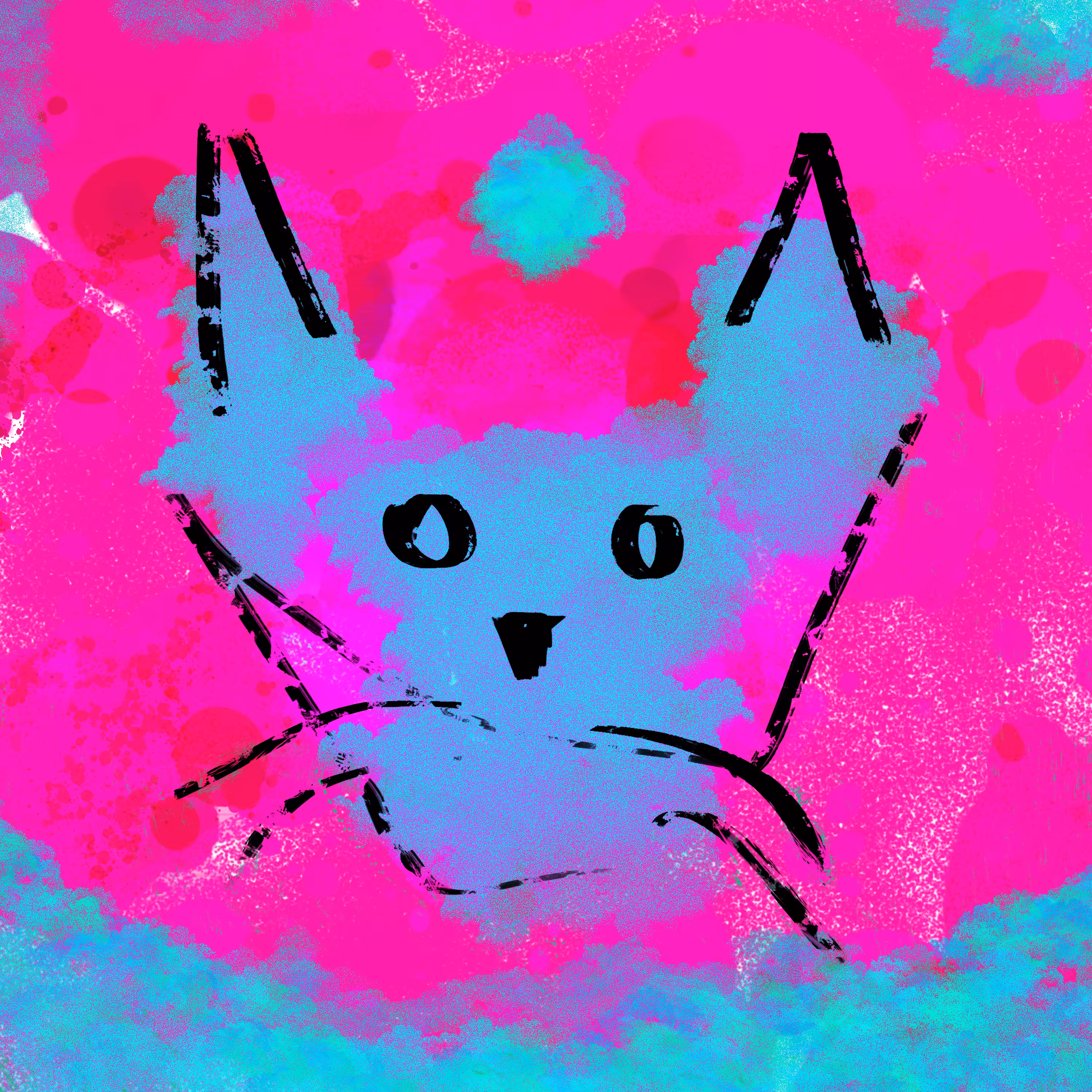 cato001