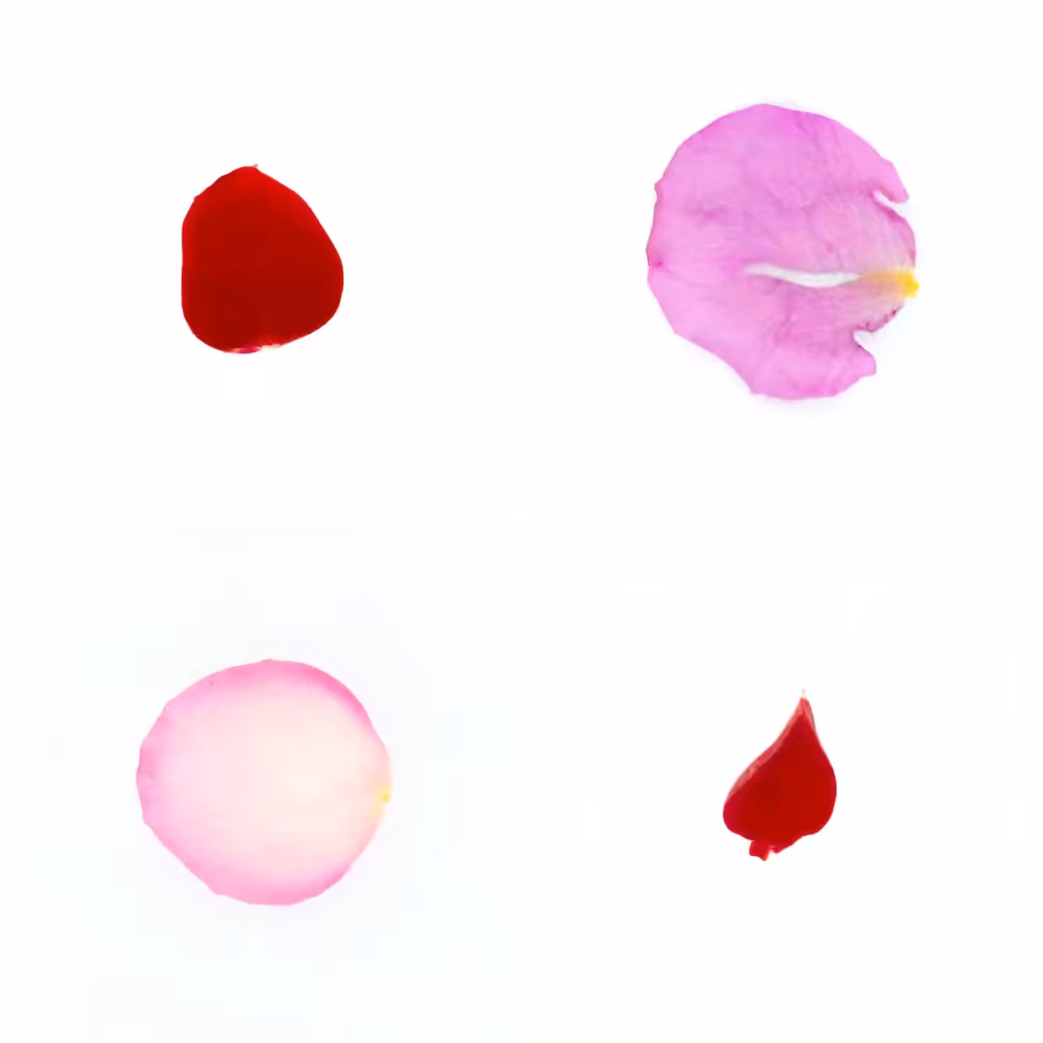 Infinite Petals 2x2#3730