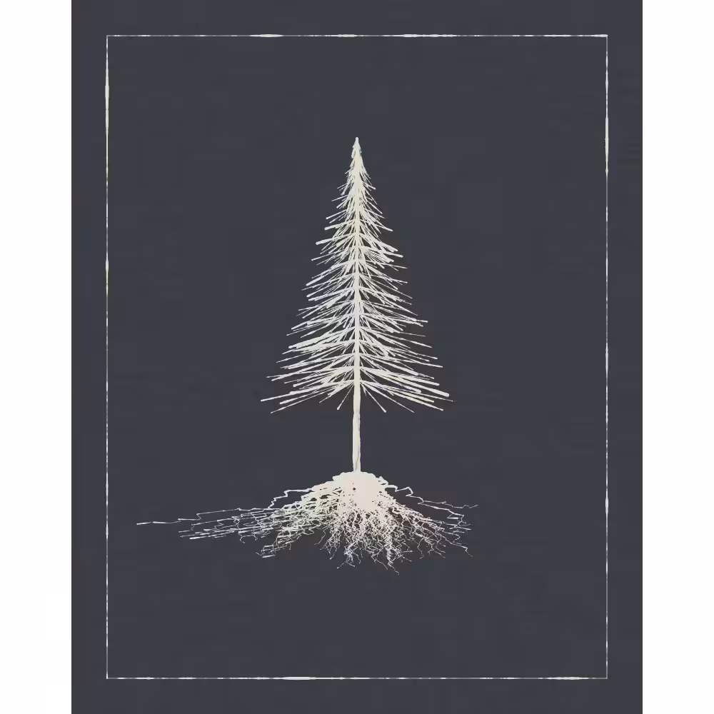 Roots #66