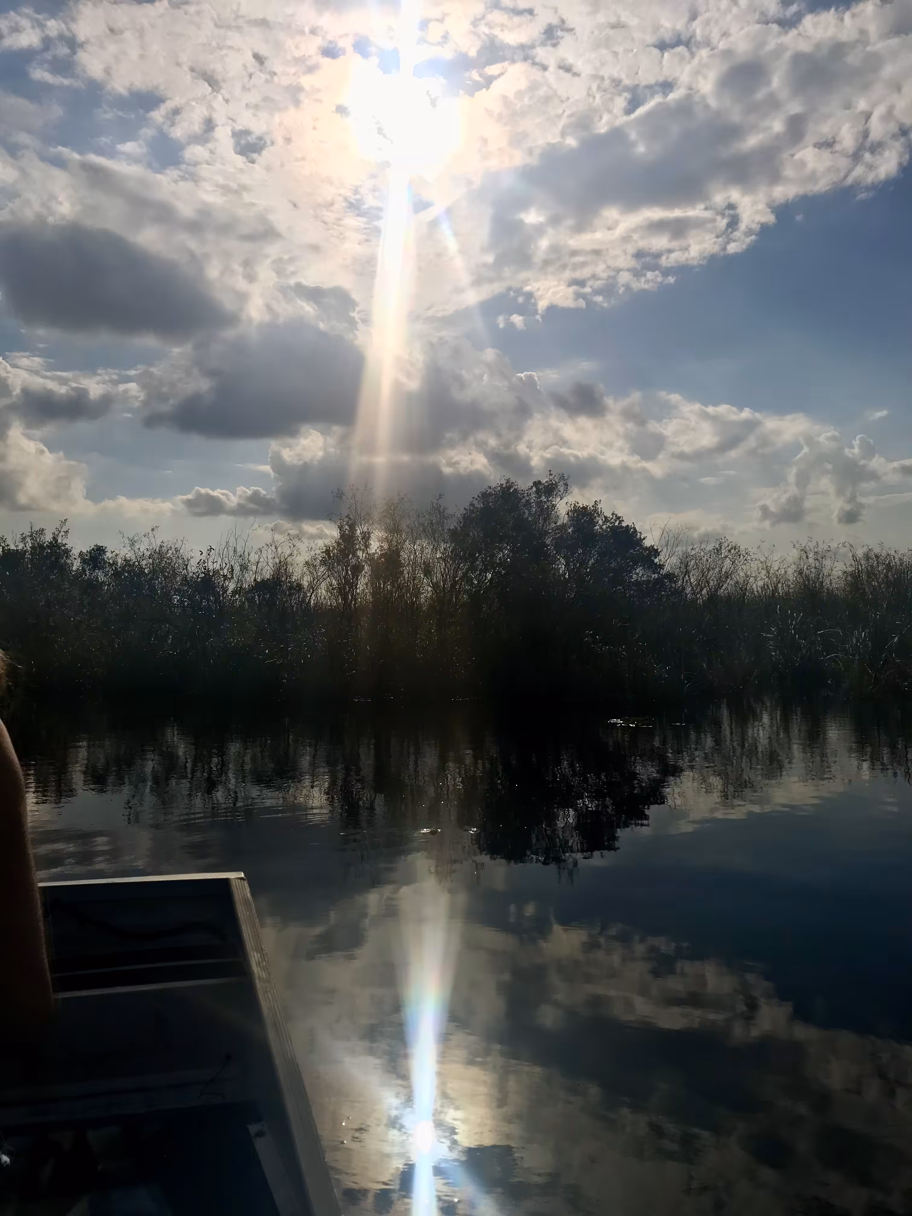 ancestors in the everglades 