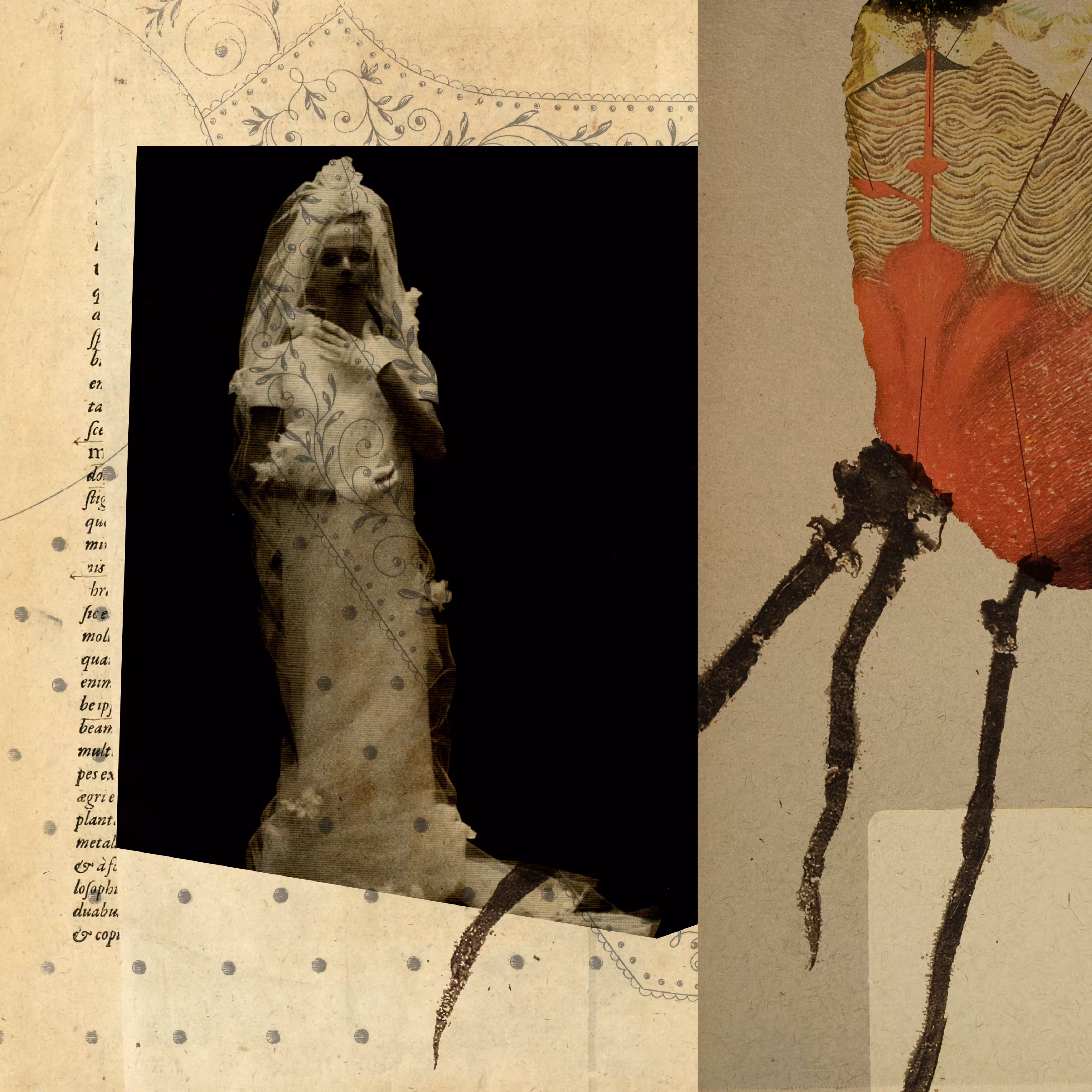 Convulsive Beauty #6