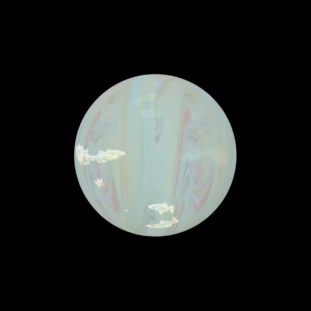 Candy #002