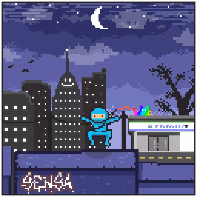 City Ninjaz #1