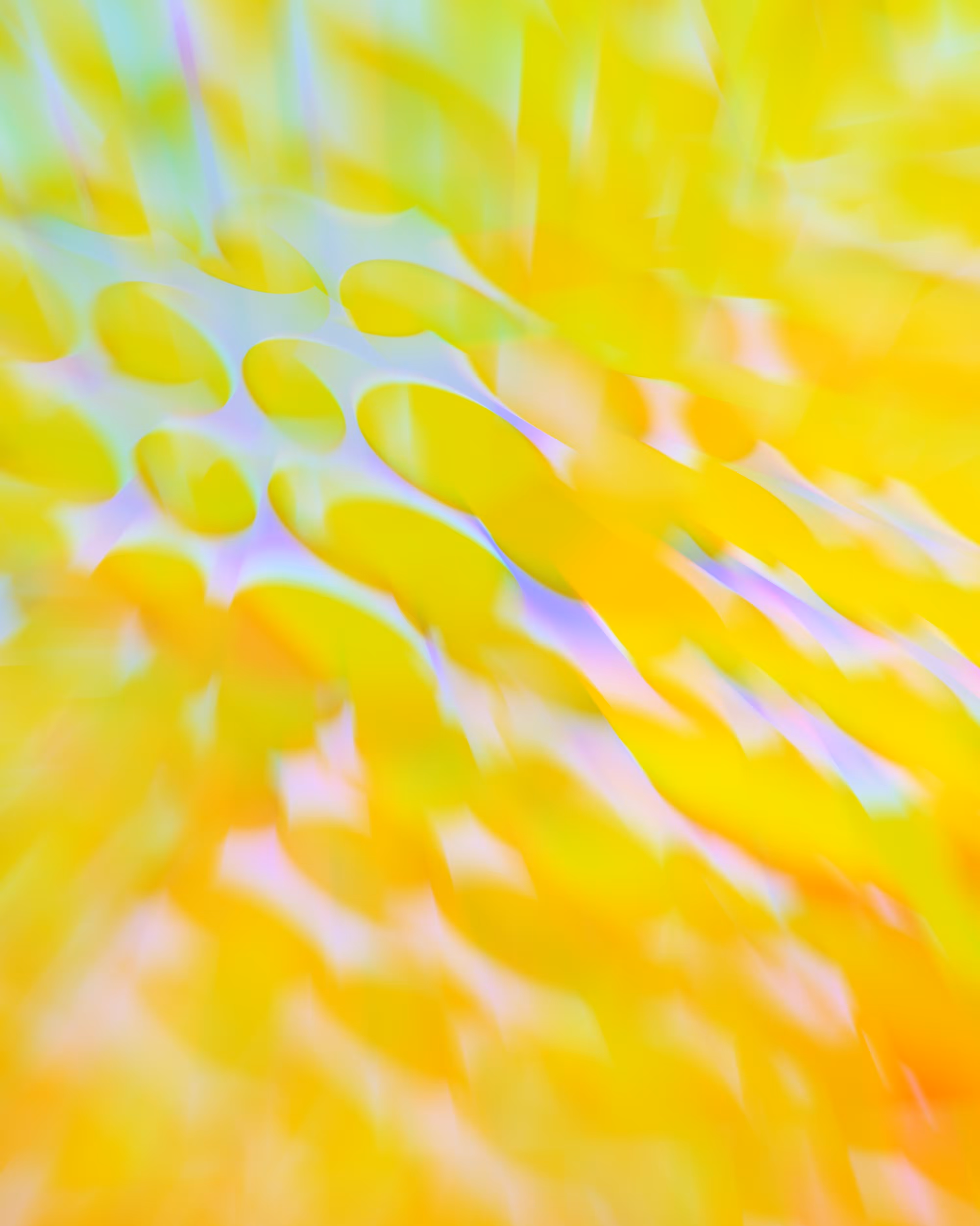Procedural Trance