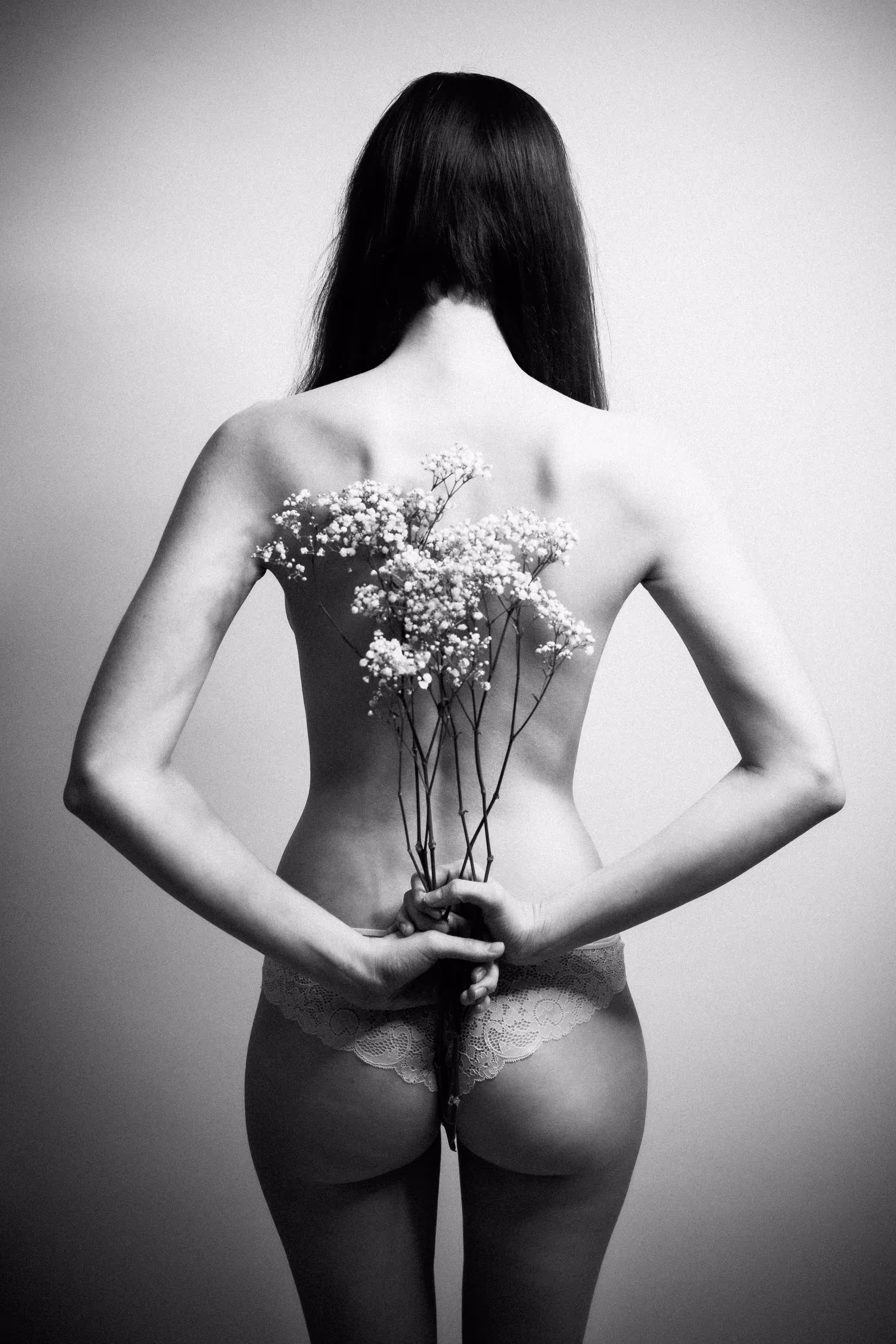Gypsophila
