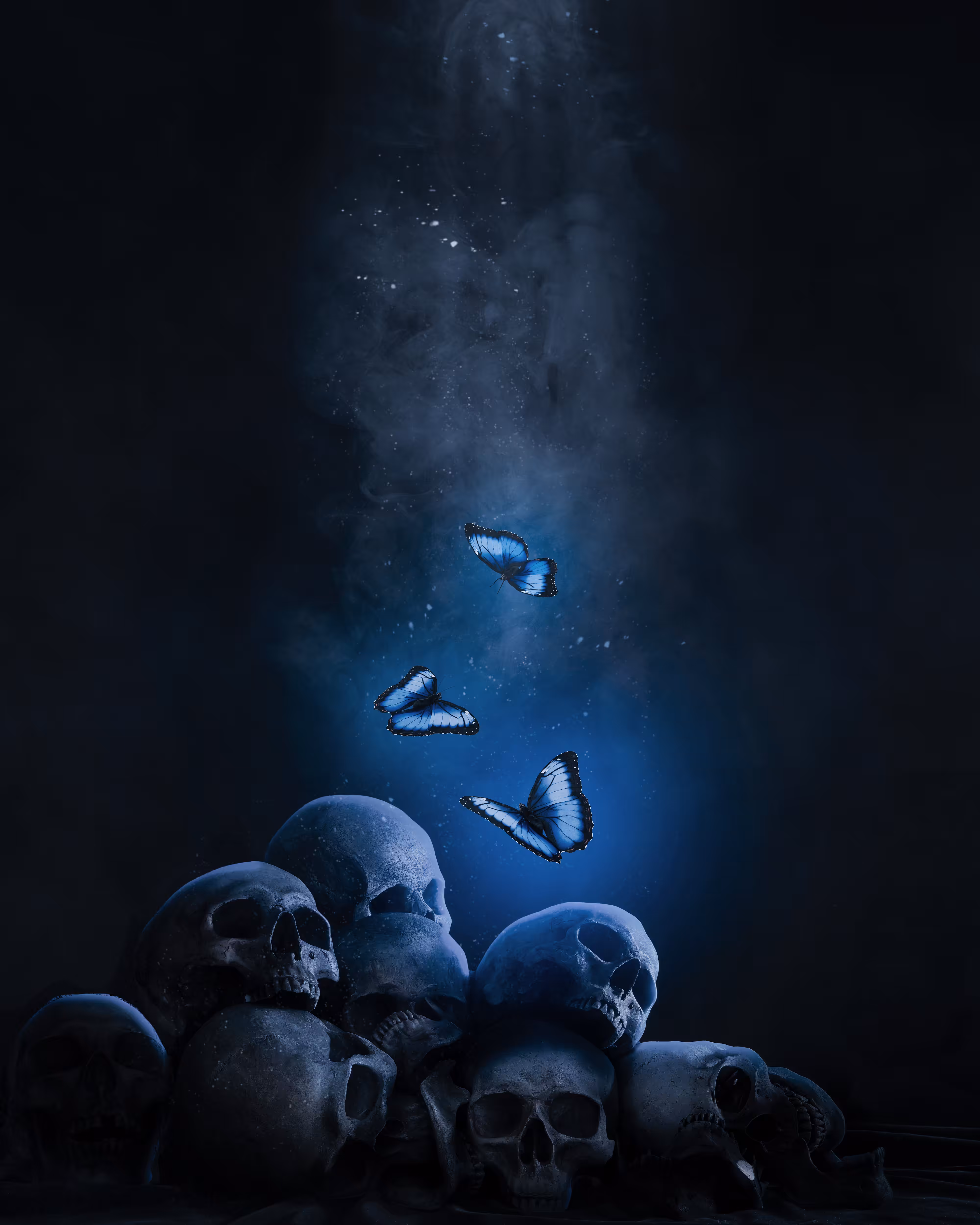 Life and dead