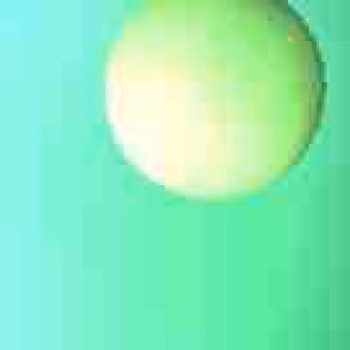 Orbit 337560874