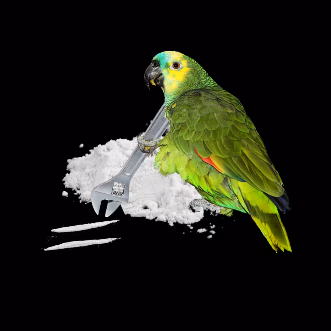 PERICO INCEPTION