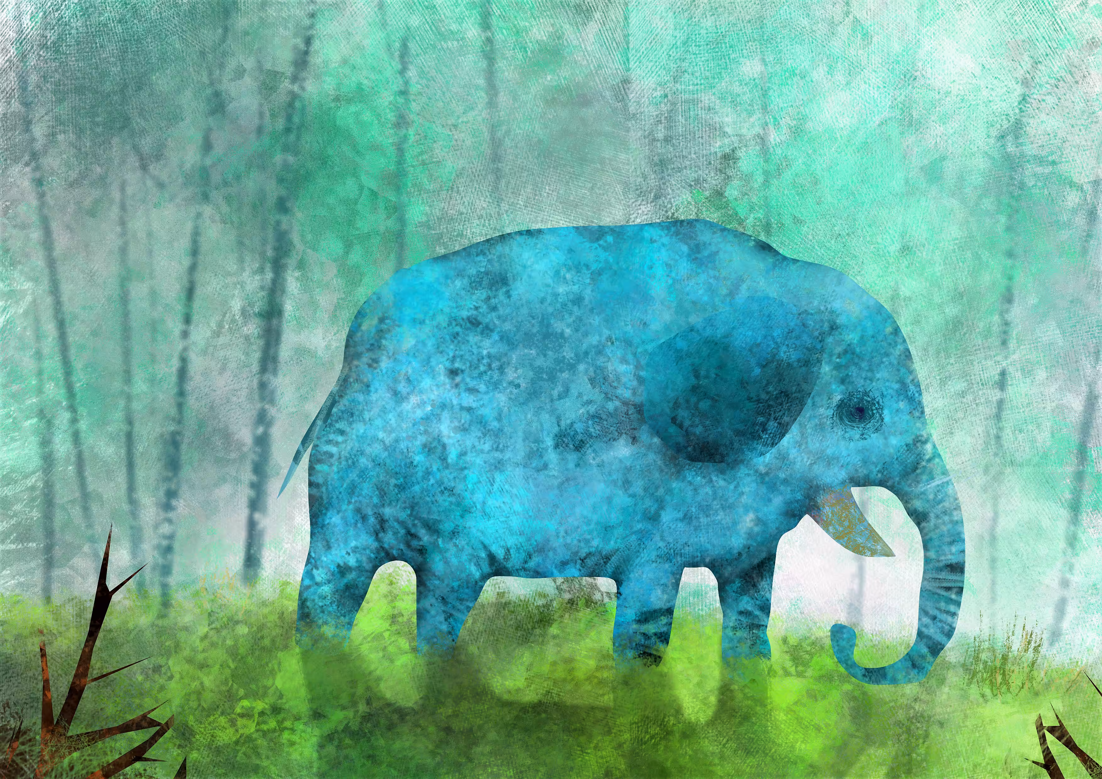 The Elephant 
