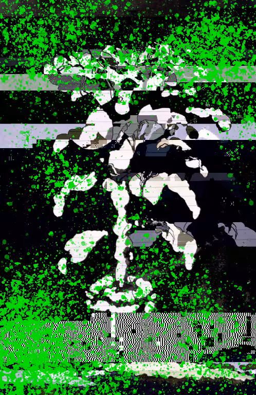 400 ERROR #11