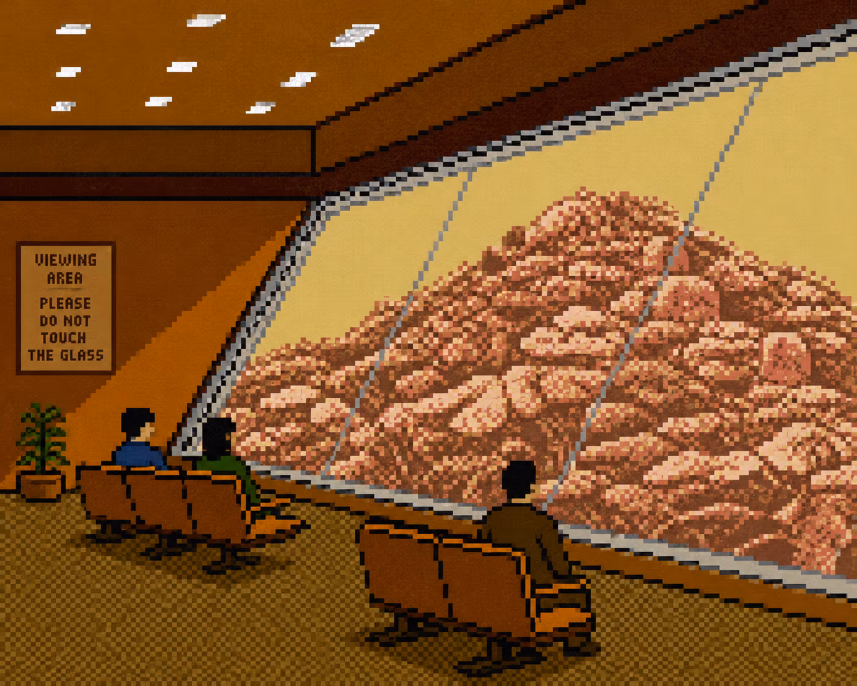 The Observation Lounge™