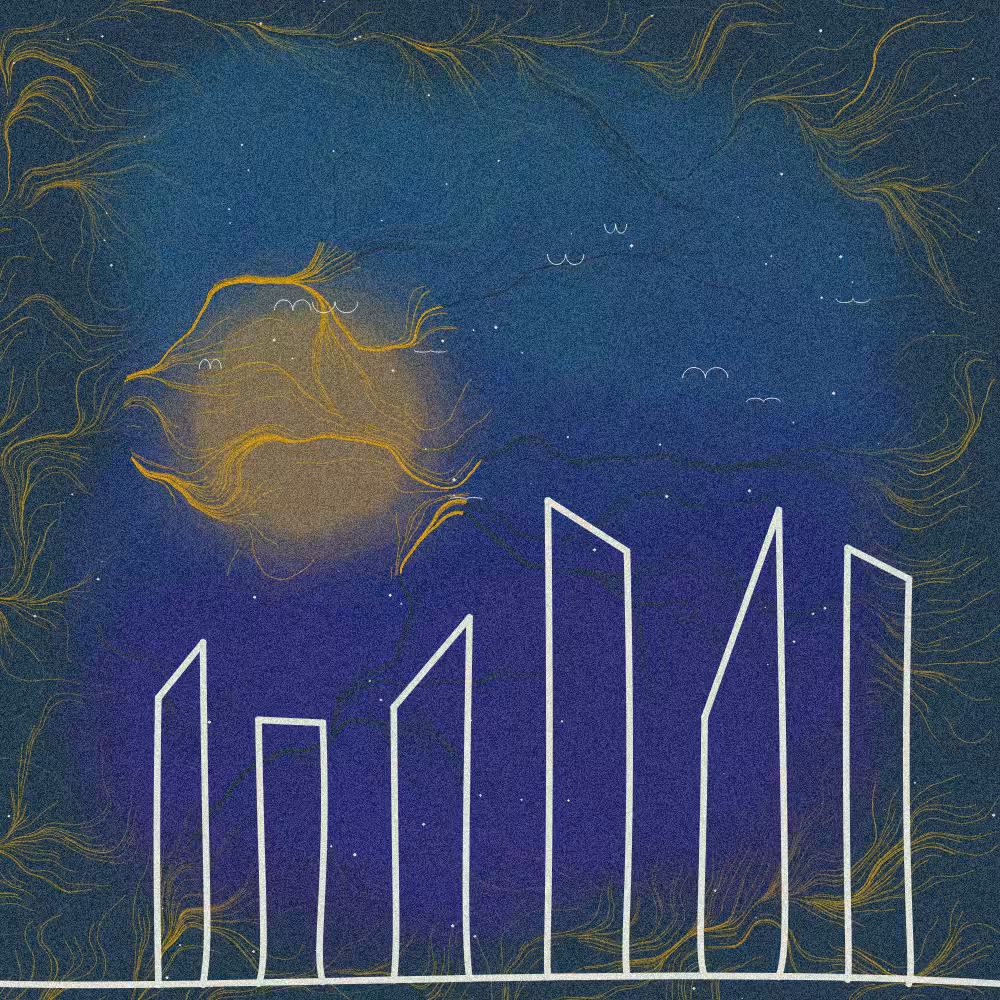 enchanted skies #14