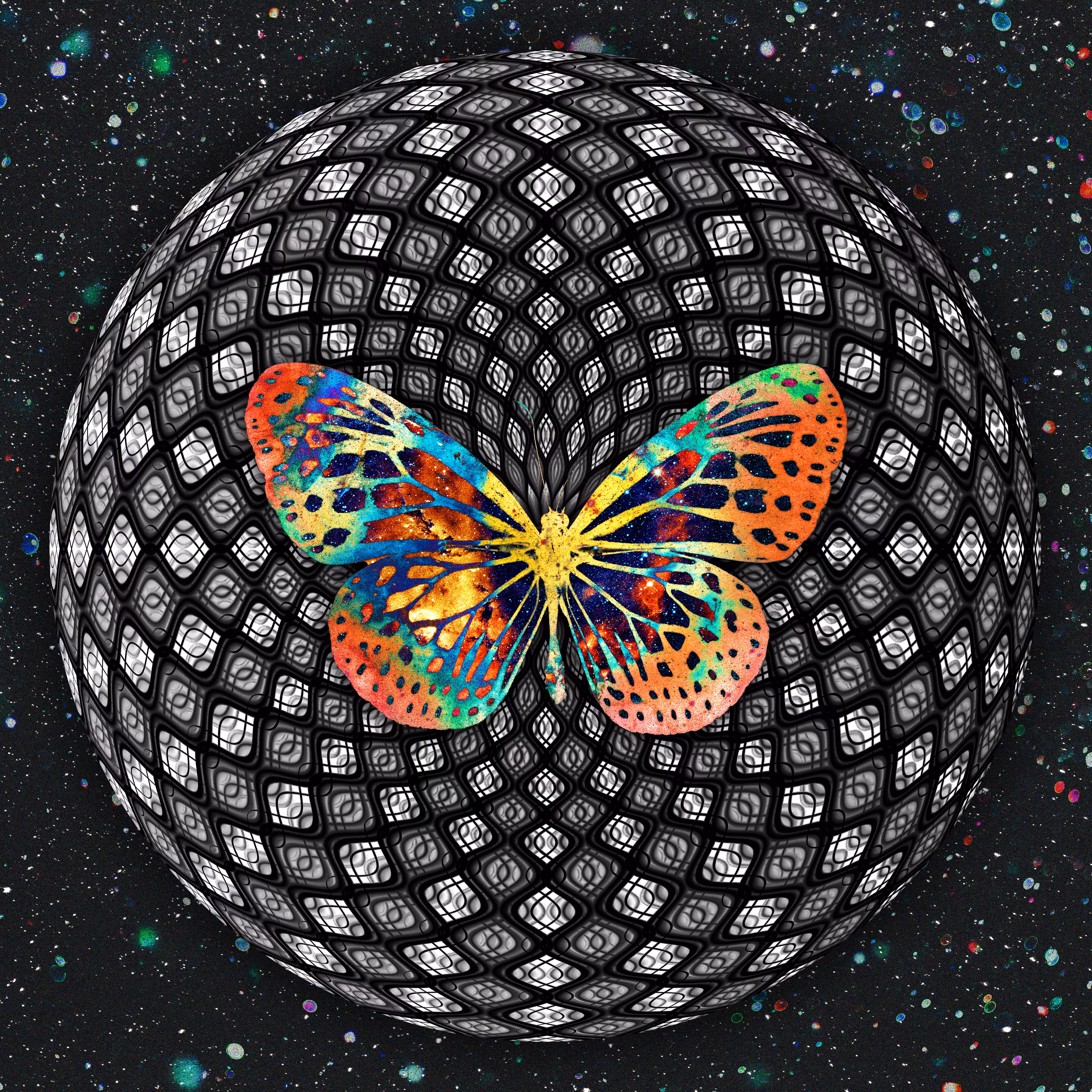 Bloom Bright 🦋