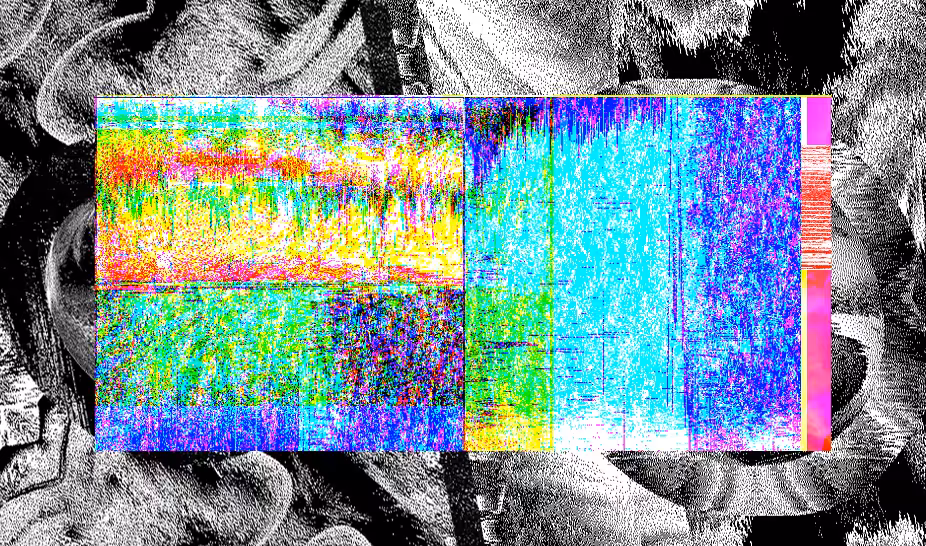 Love, Computer 015