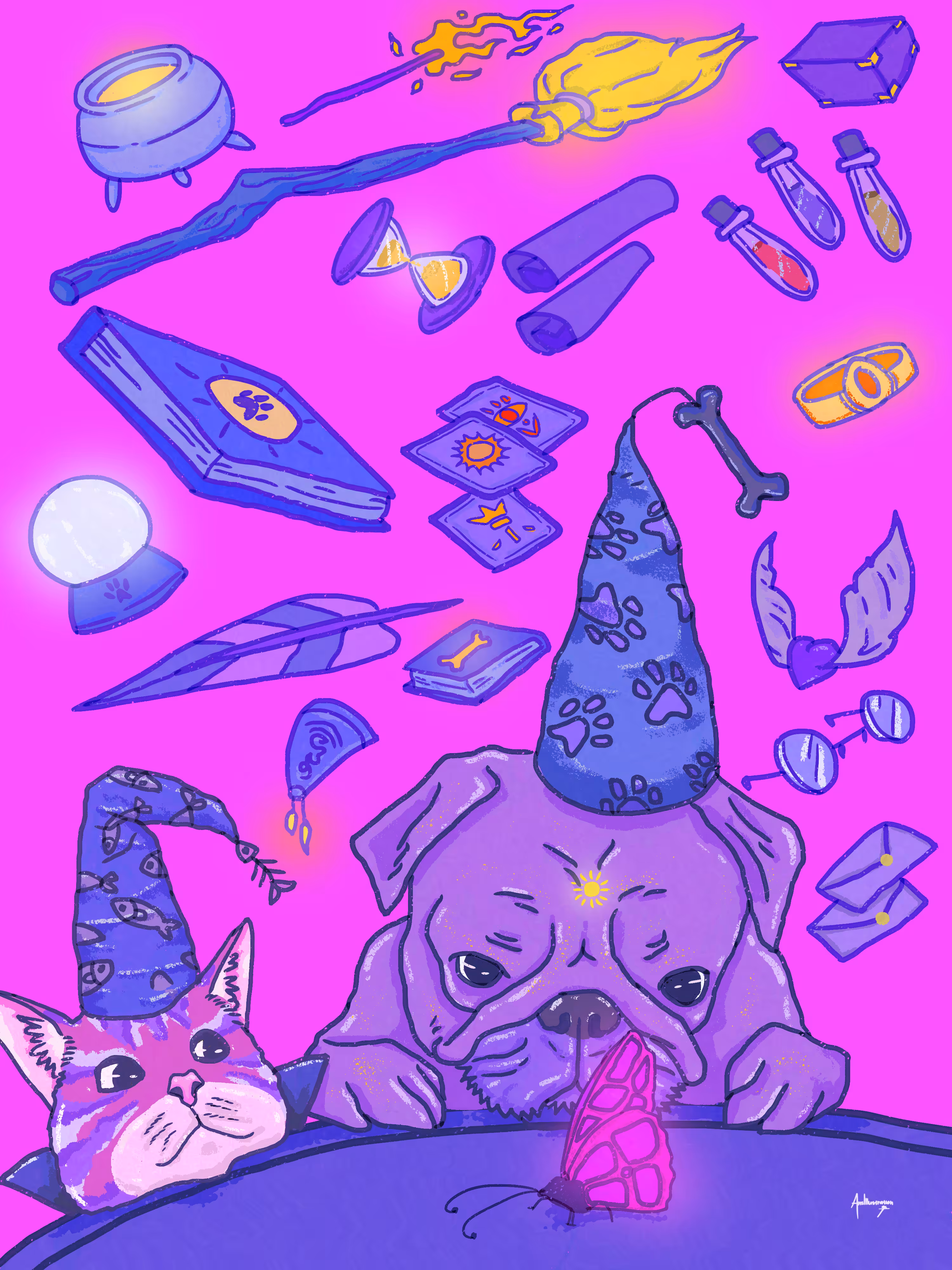 WIZARD DISTRACTION