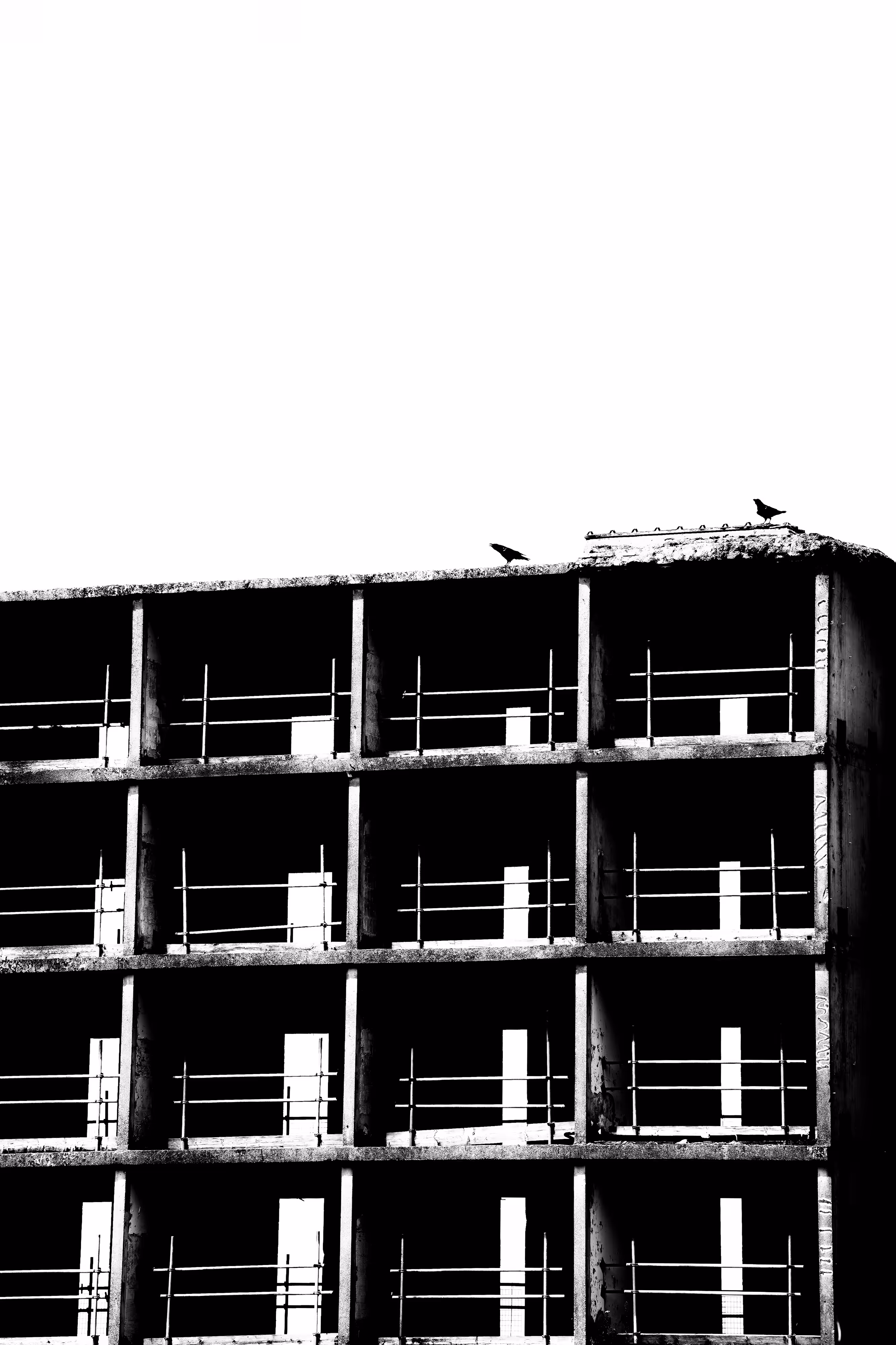 Bird House