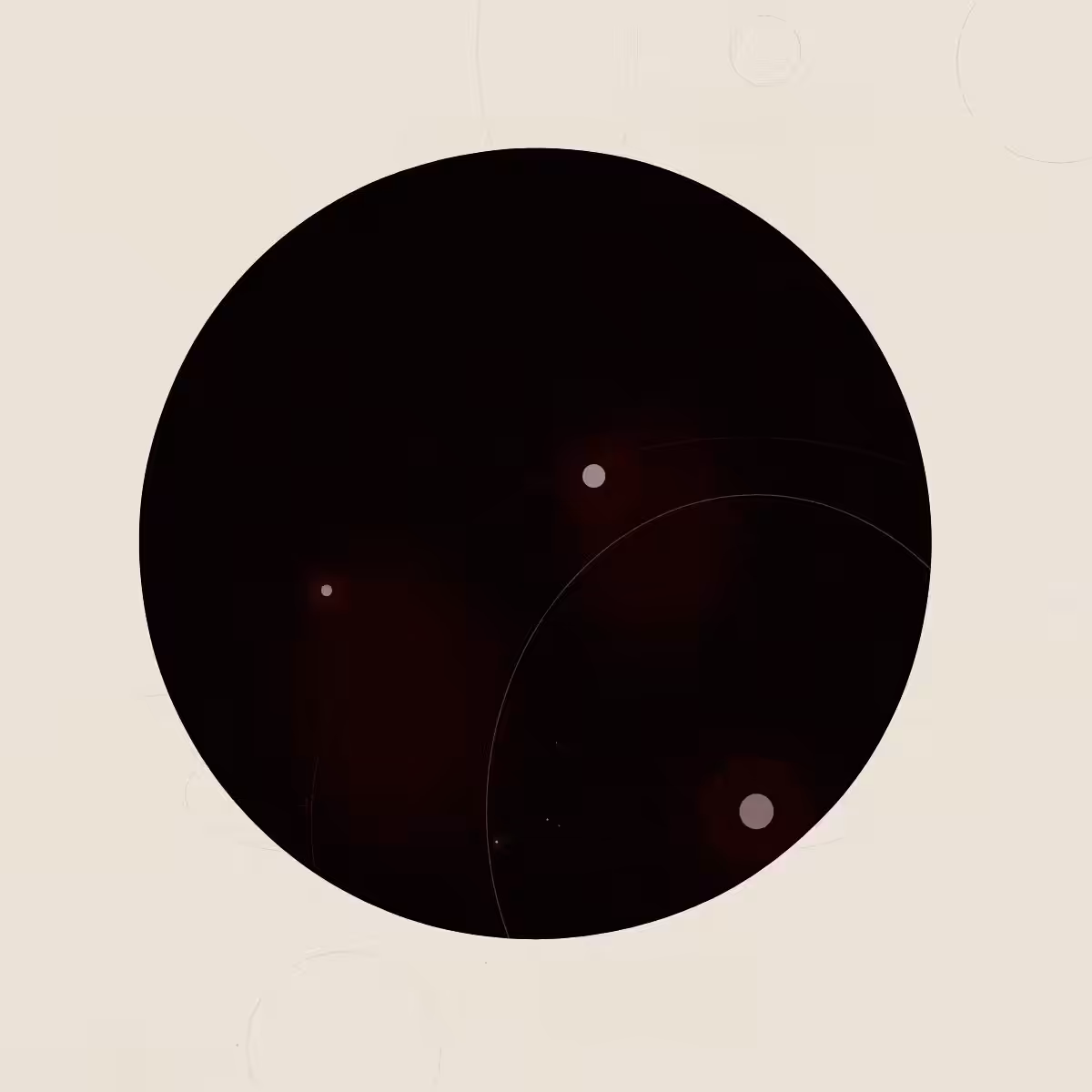SYSTEMS #81
