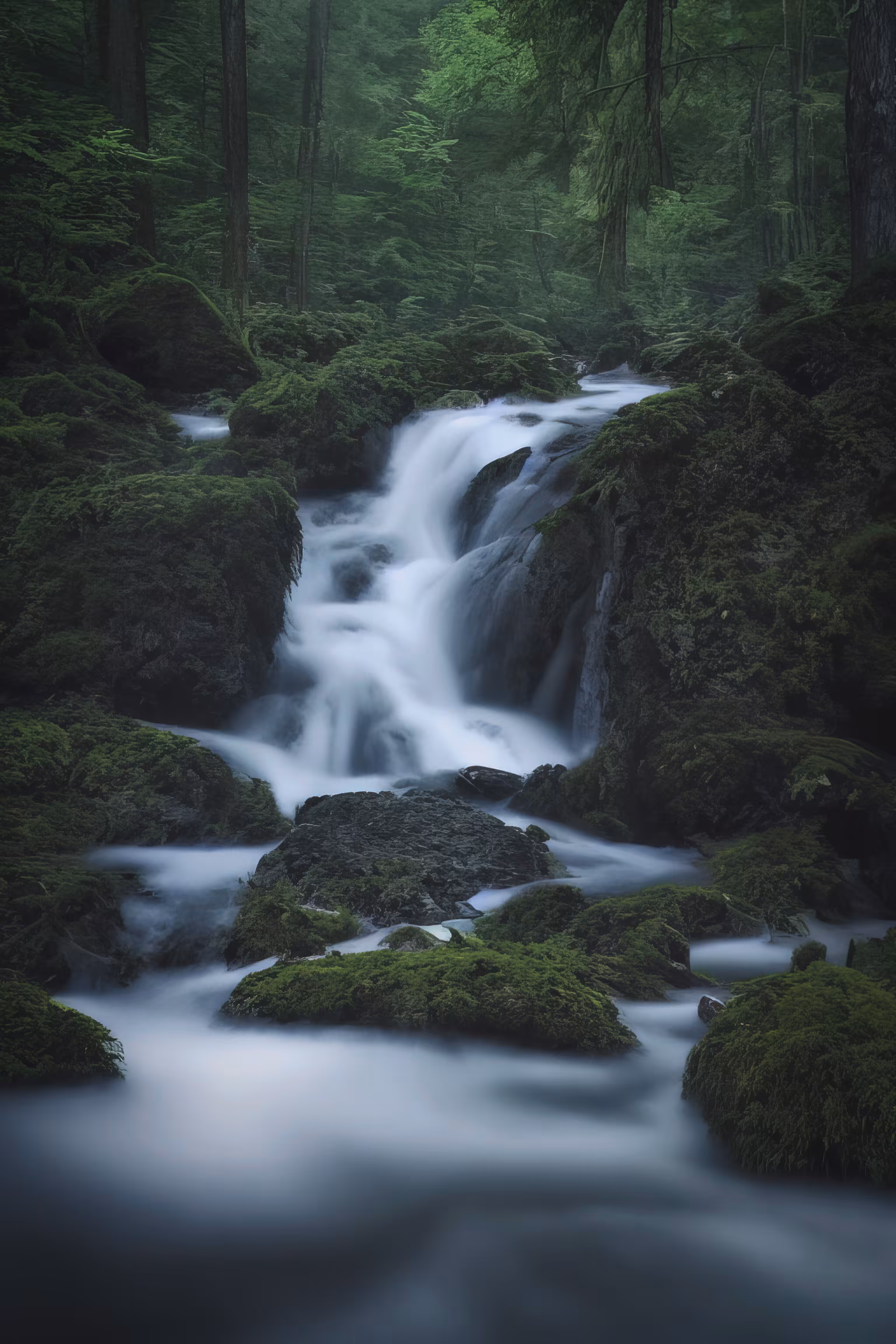 Black Forest Streams