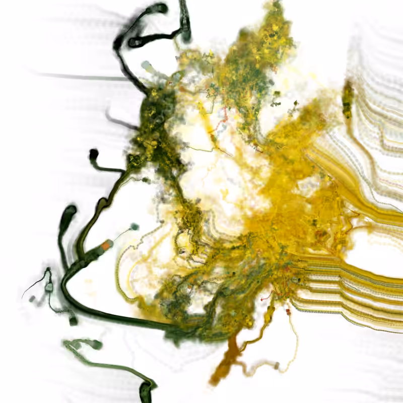 Hypericum #47