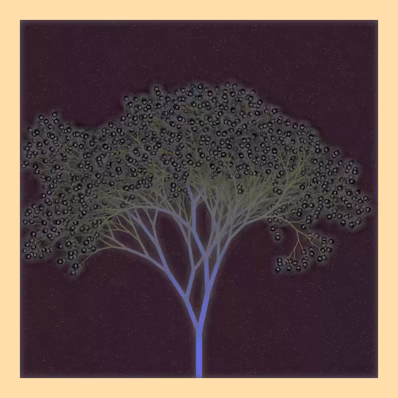 Souvenir d'un arbre merveilleux #52