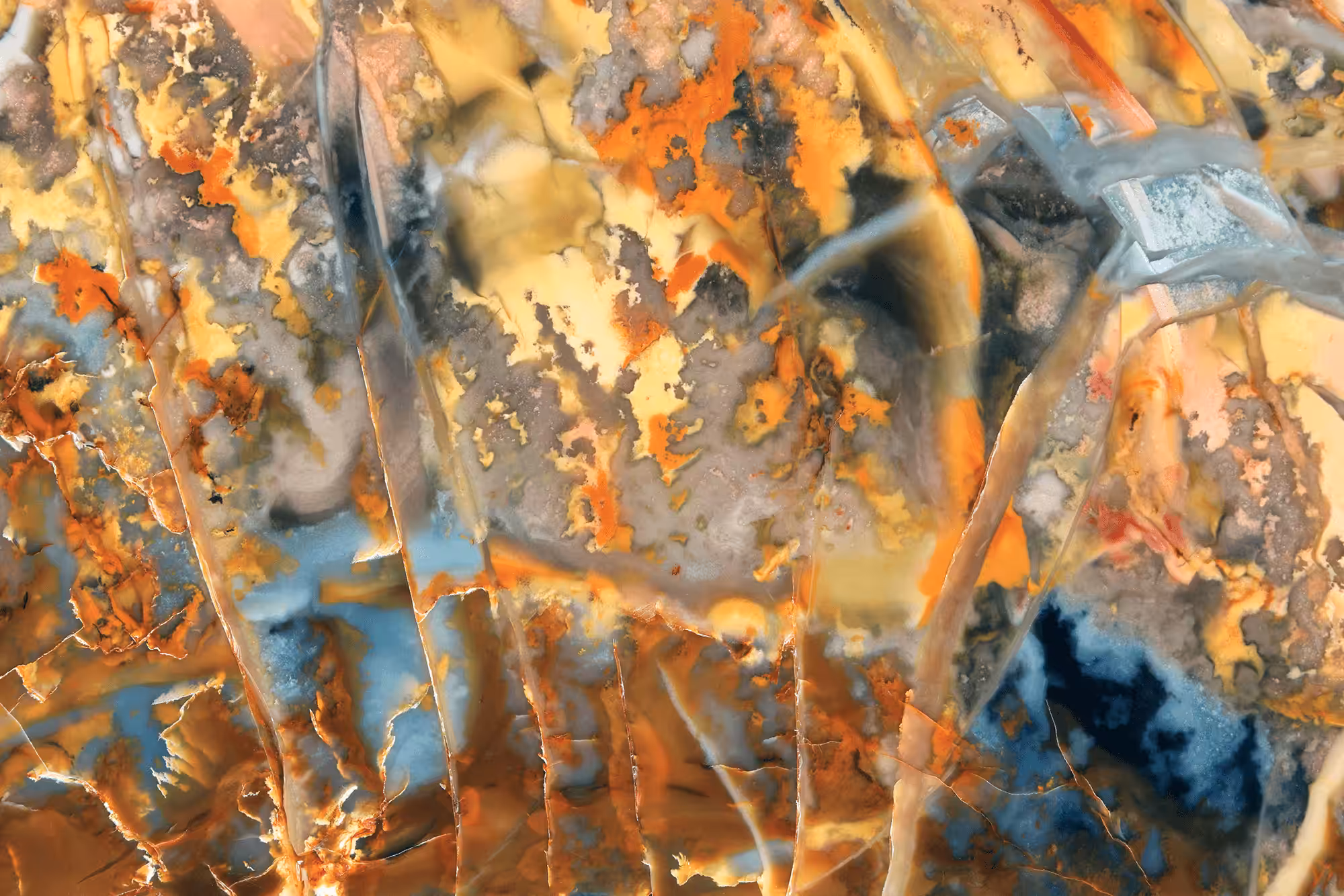 Wildfire