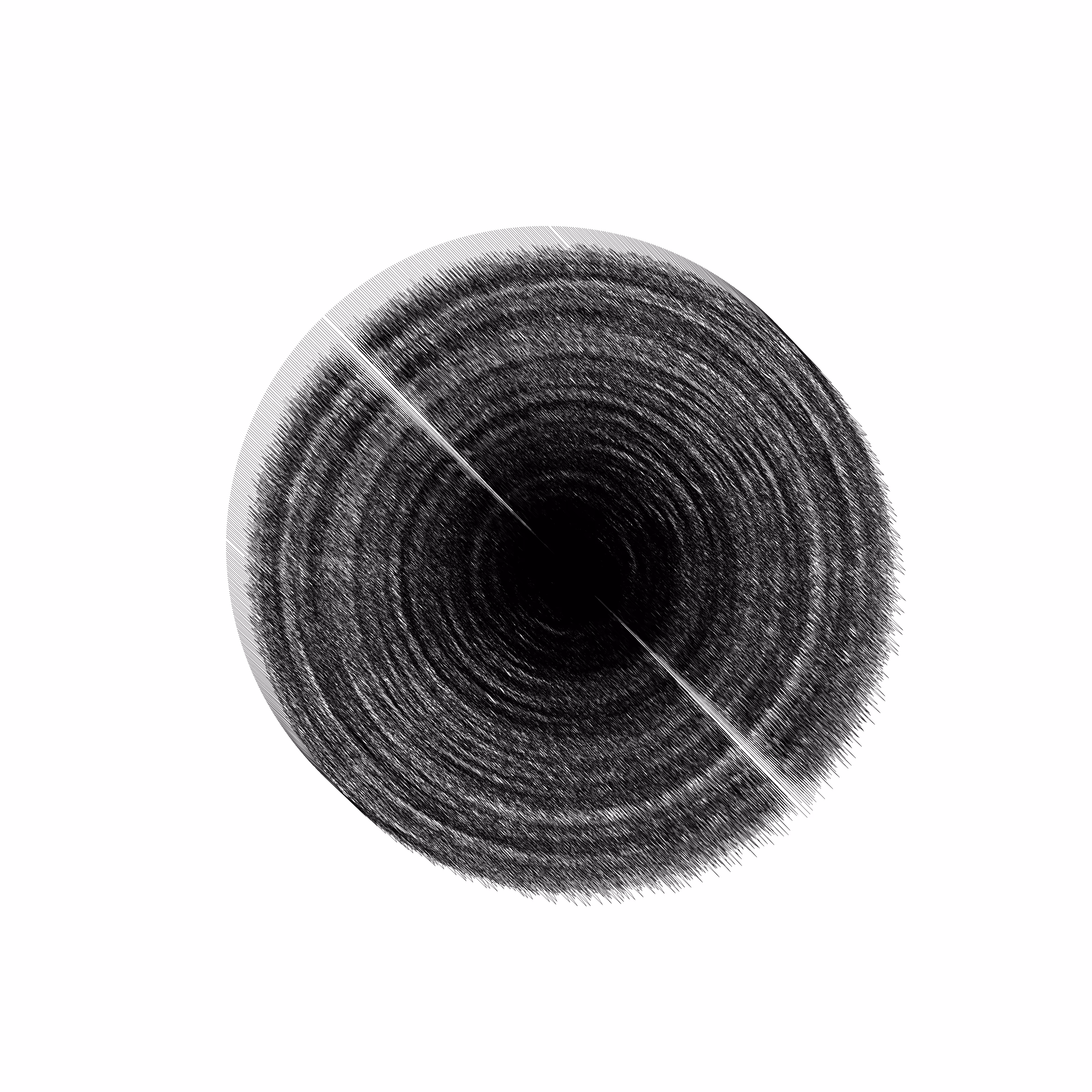 Disc