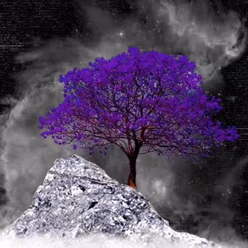 Tree #12