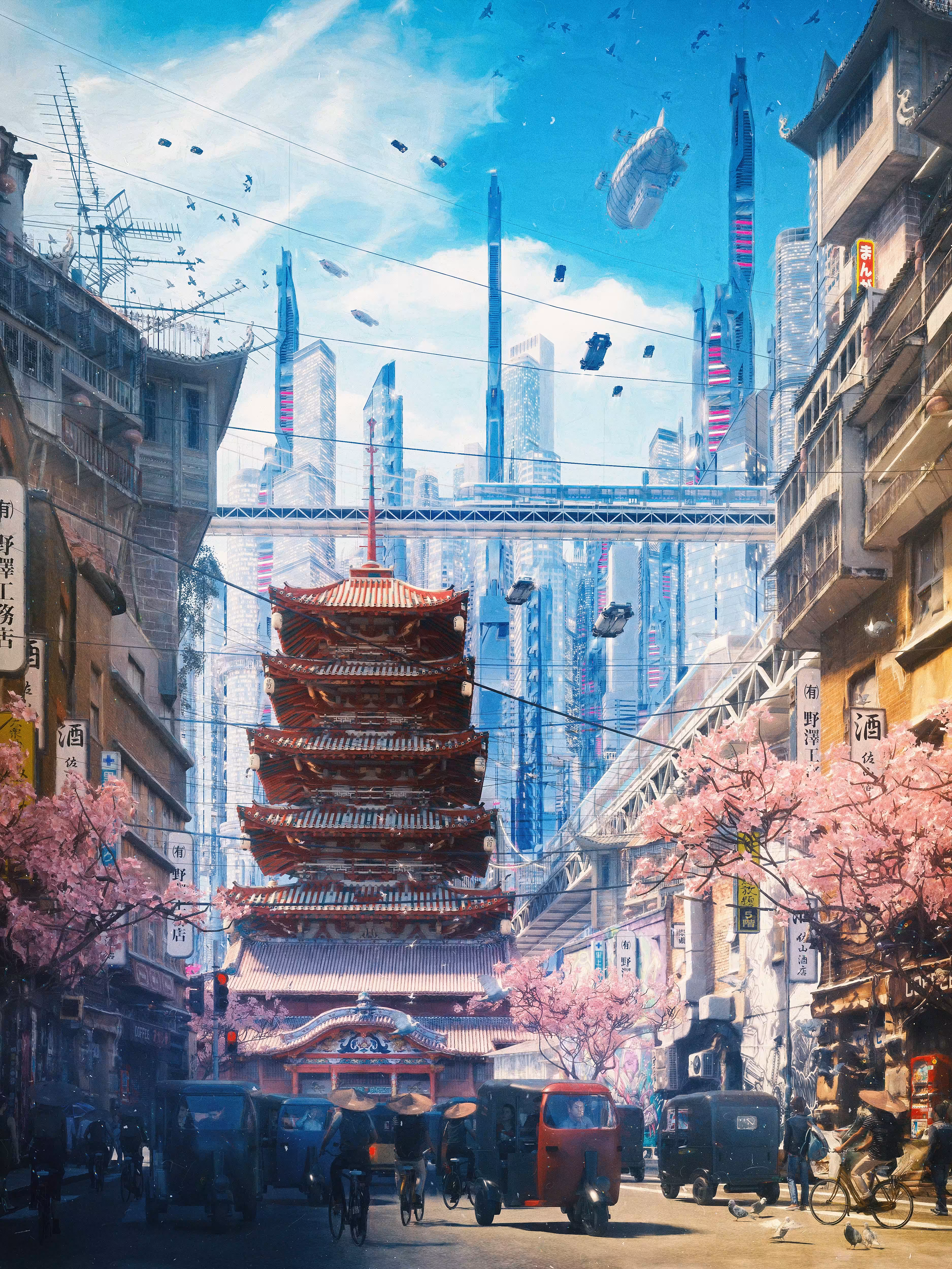 Cherry Blossom