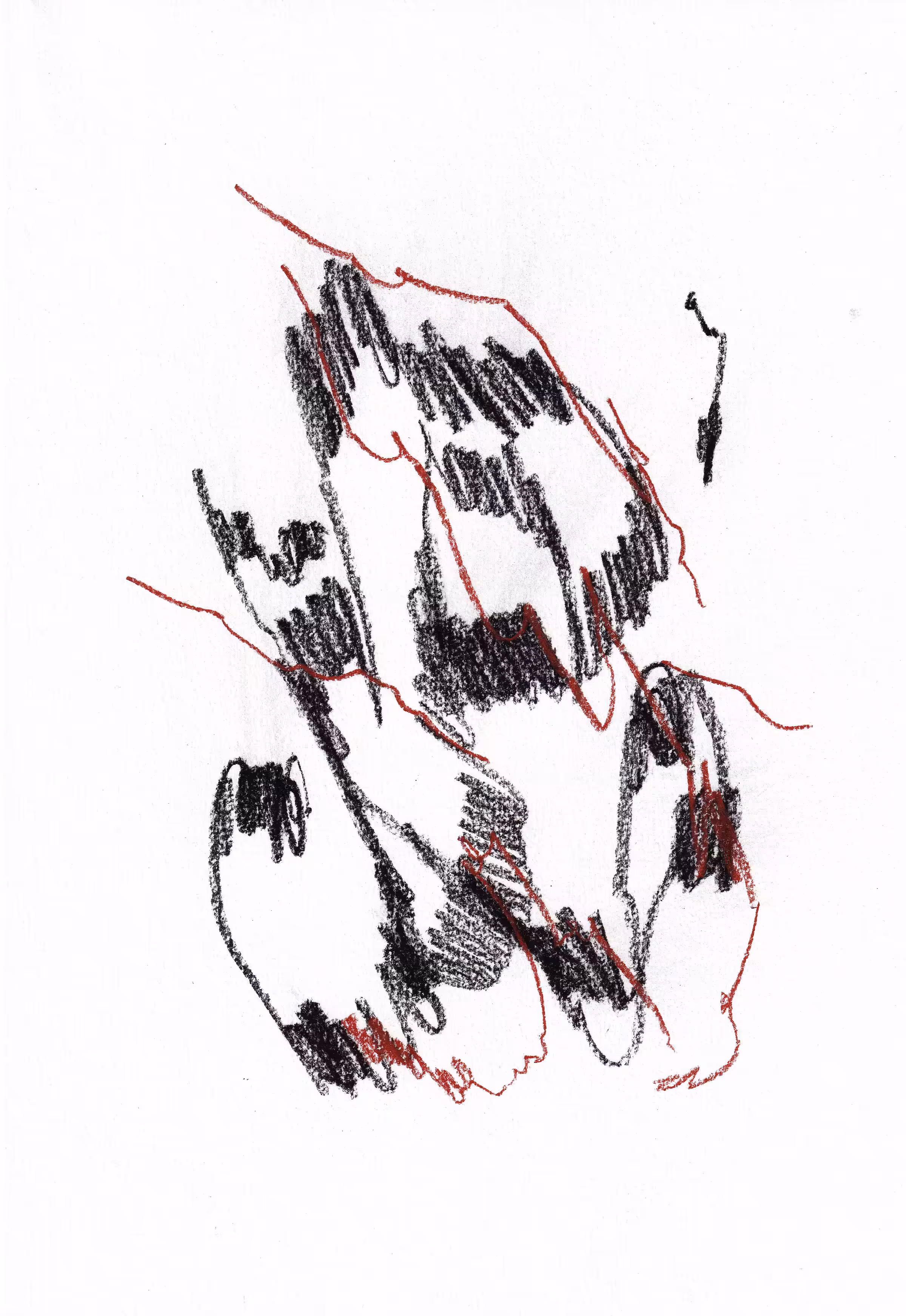 Sp101220222