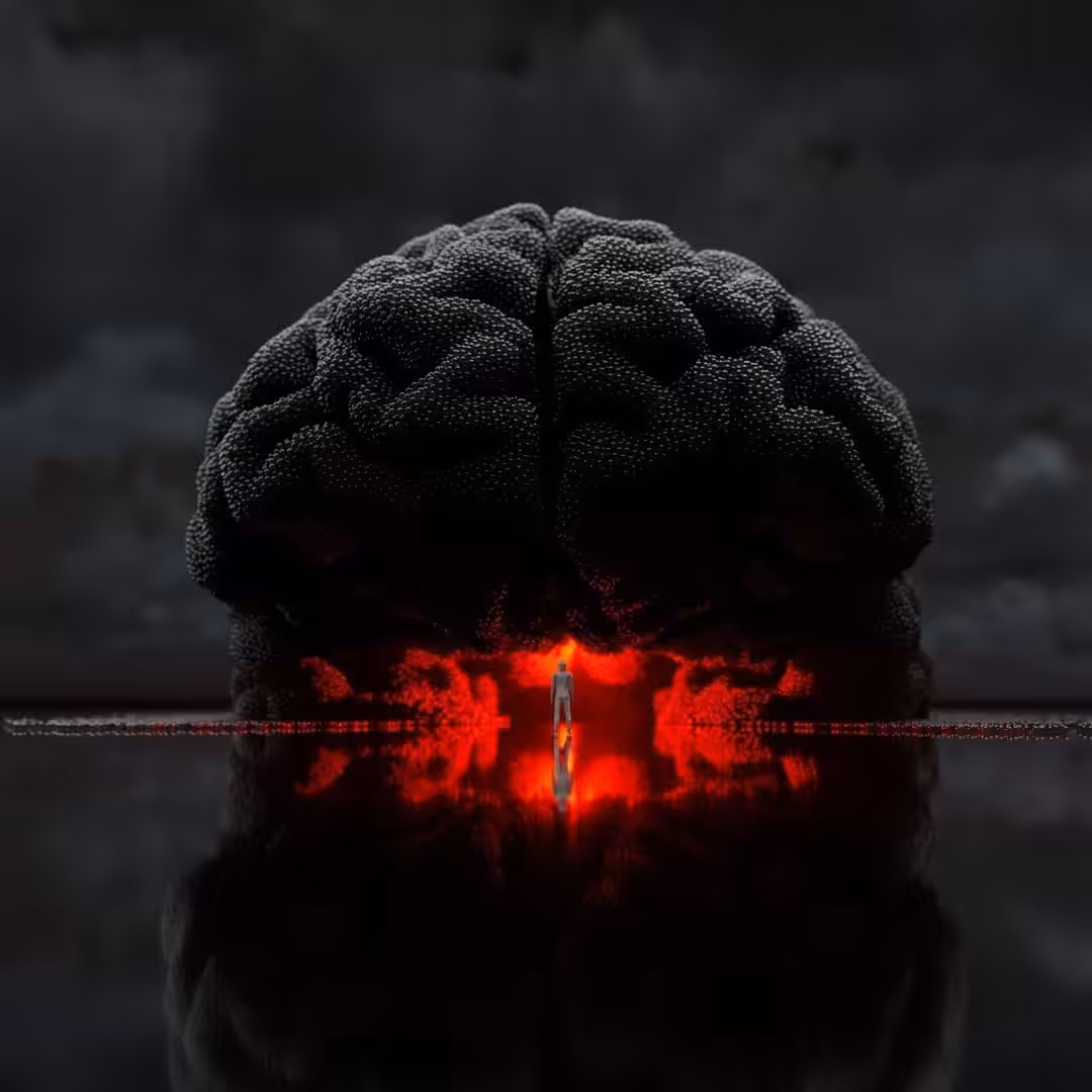Neural Activity