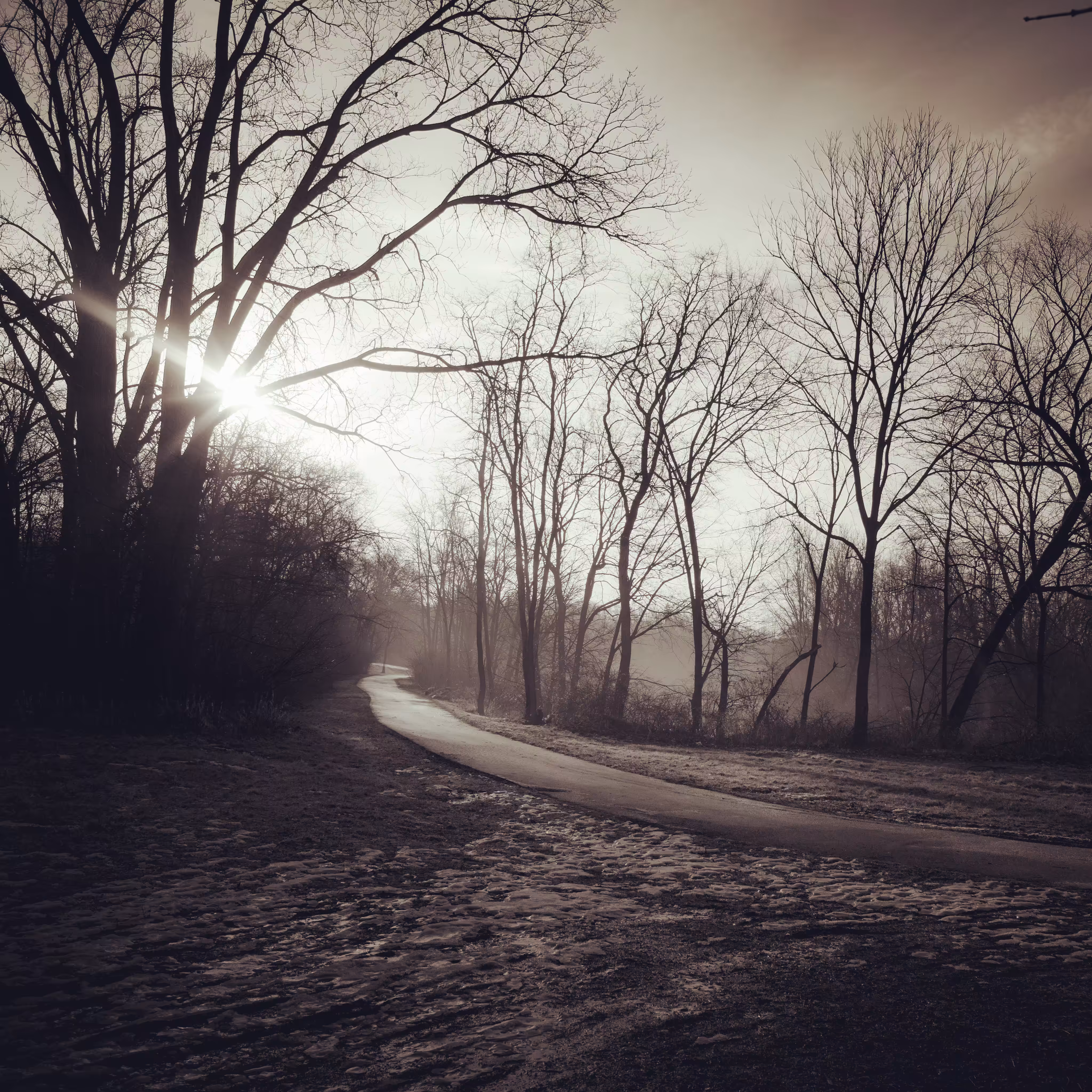 Path of Purity