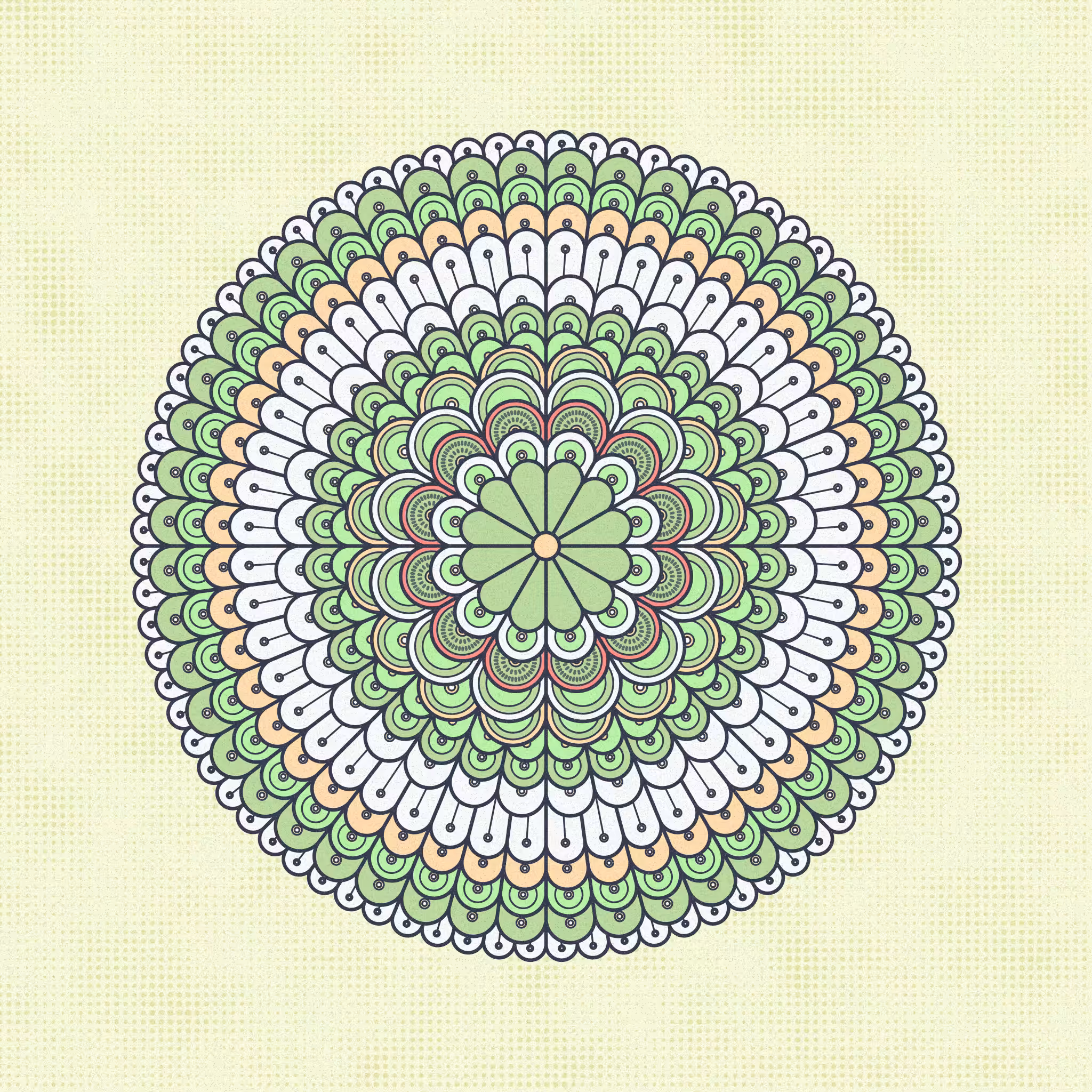 metamorph. #24