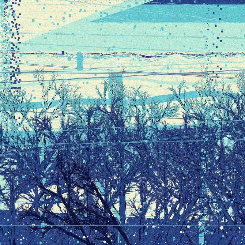 The Wintertime #81