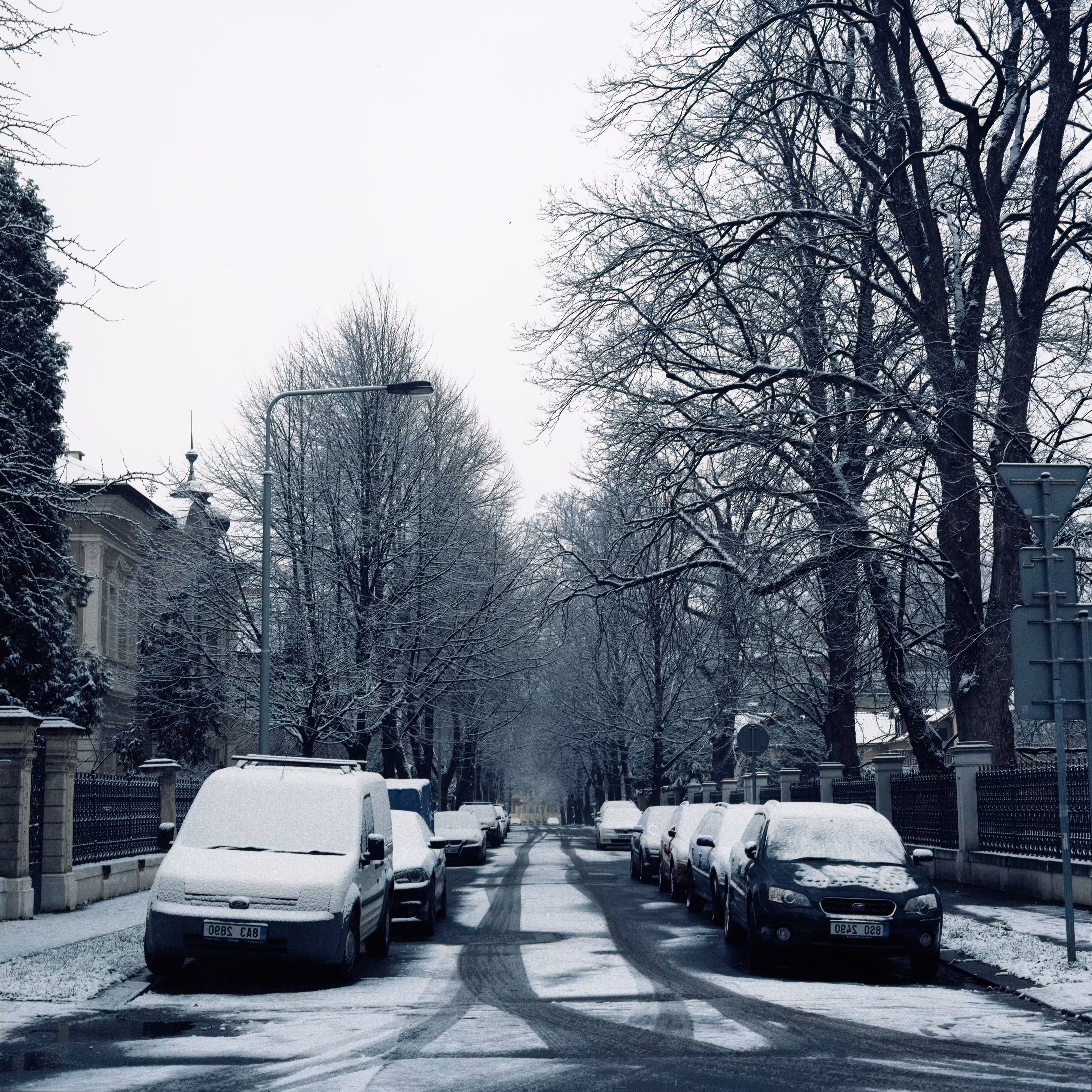 Roads Untraveled #25