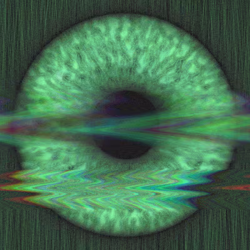 Distorted Vision #31