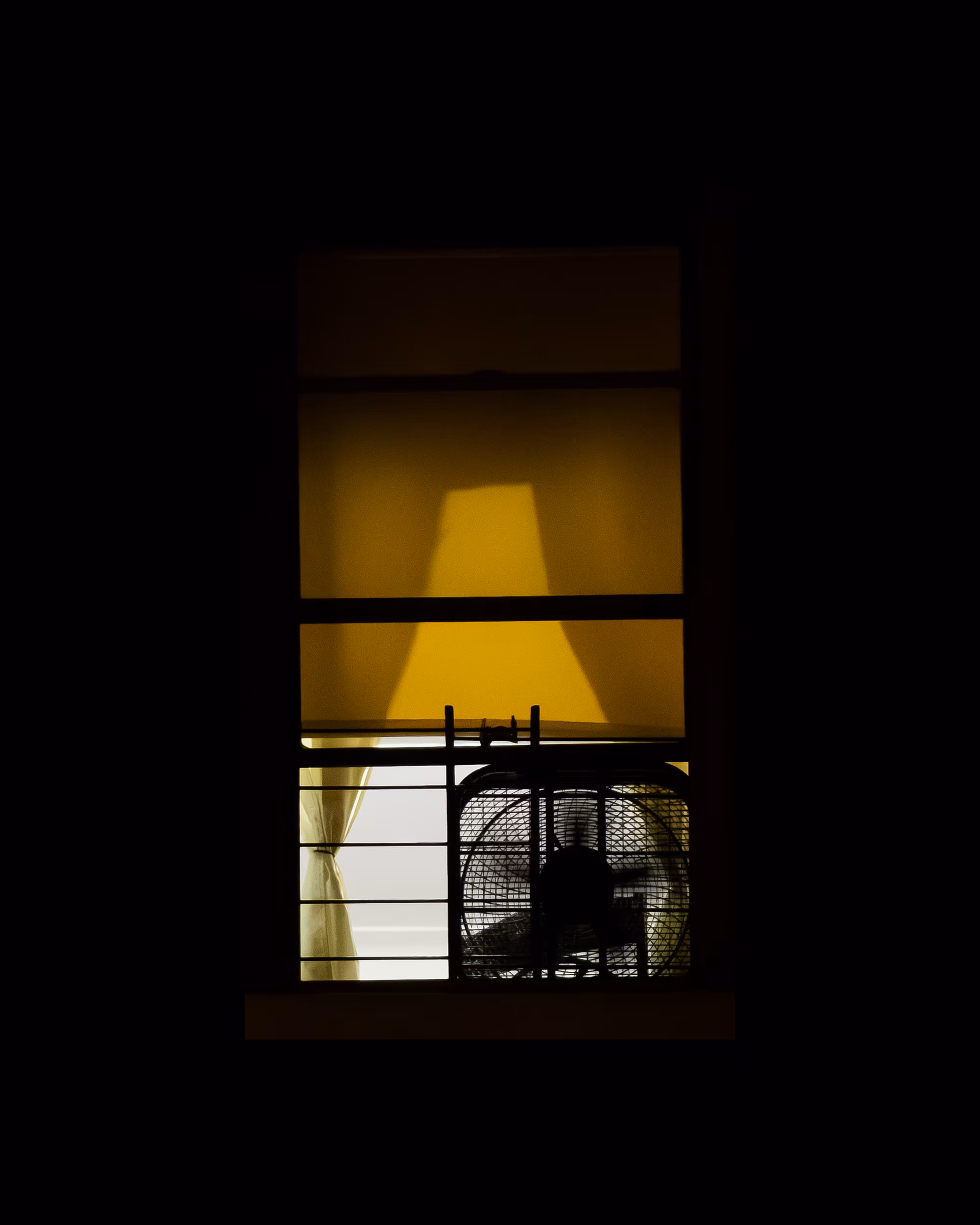WINDOWS // NYC: WINDOW 448
