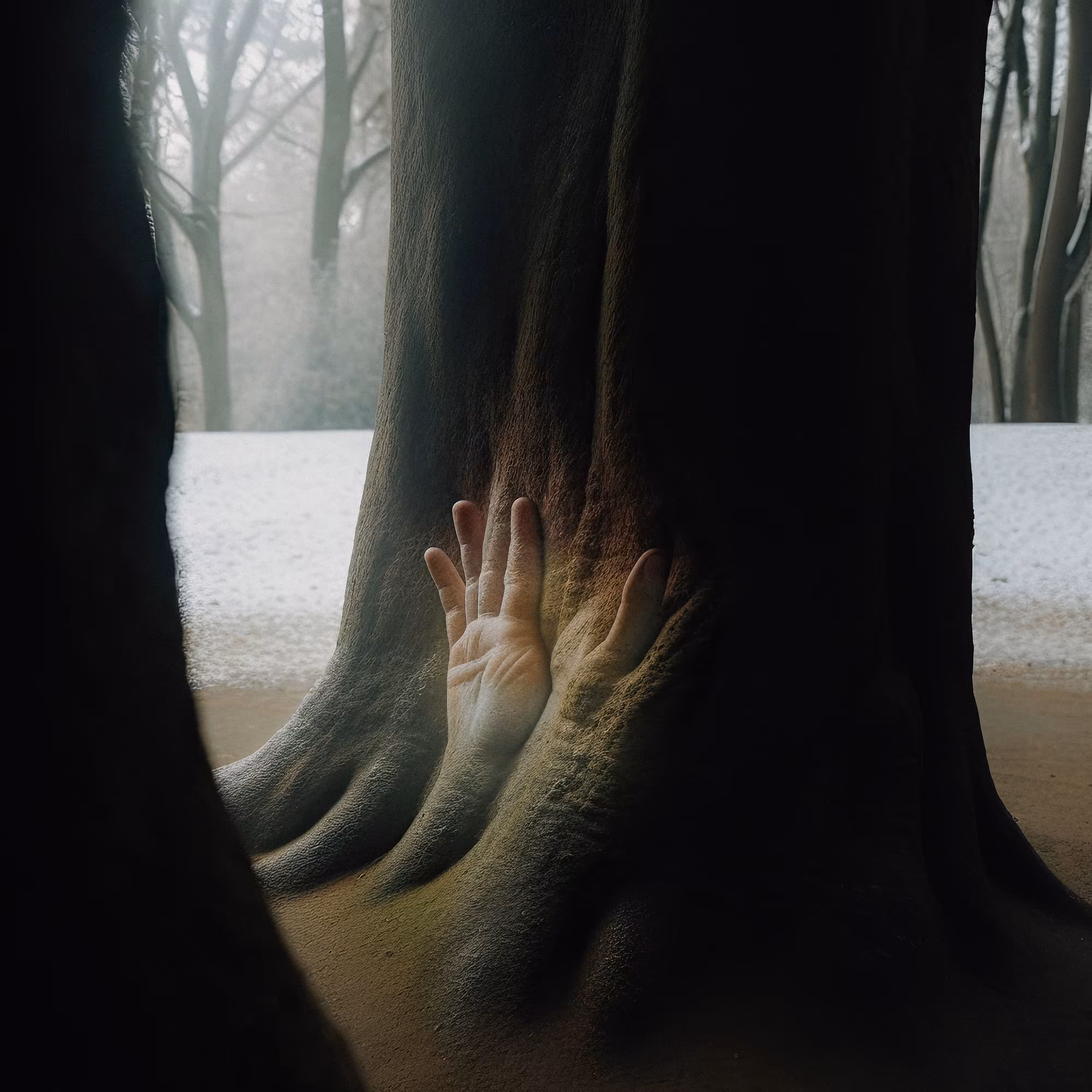 Hand of God II